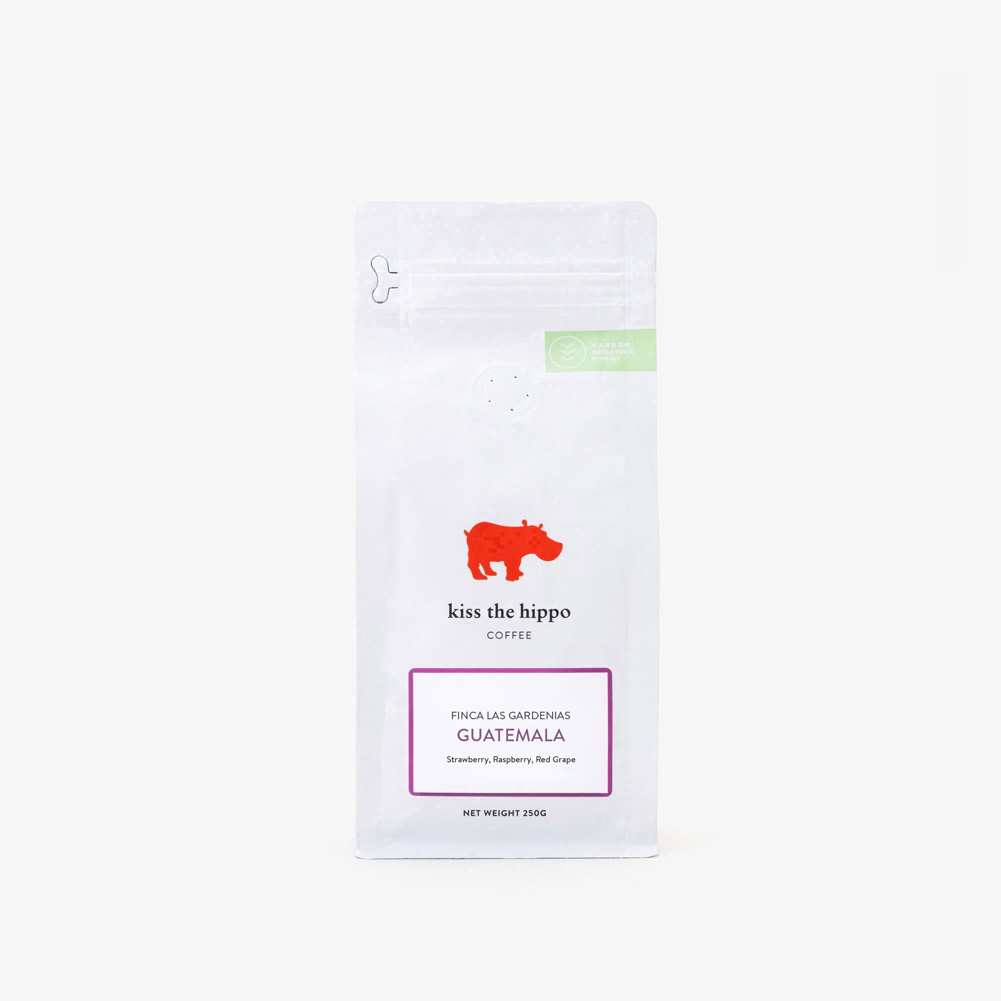 Guatemala, Finca Las Gardenias — Guatemala by Kiss the Hippo Coffee
