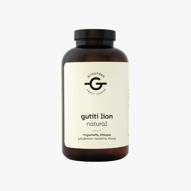 Gutiti Lion by Koffiekenner