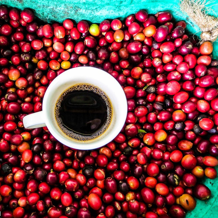 Colombian Espresso by Koffy