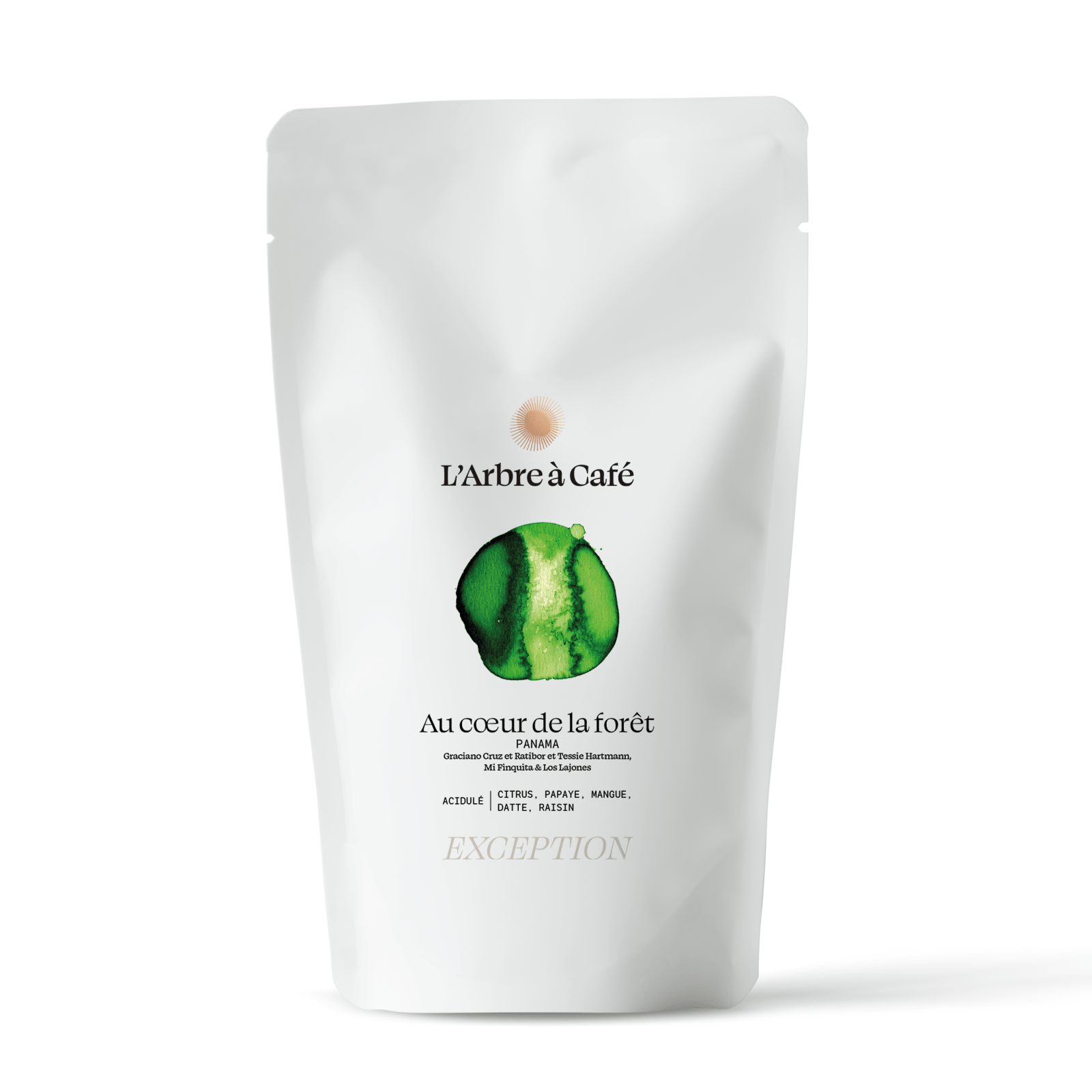 Au cœur de la forêt — Panama by L'Arbre à Café