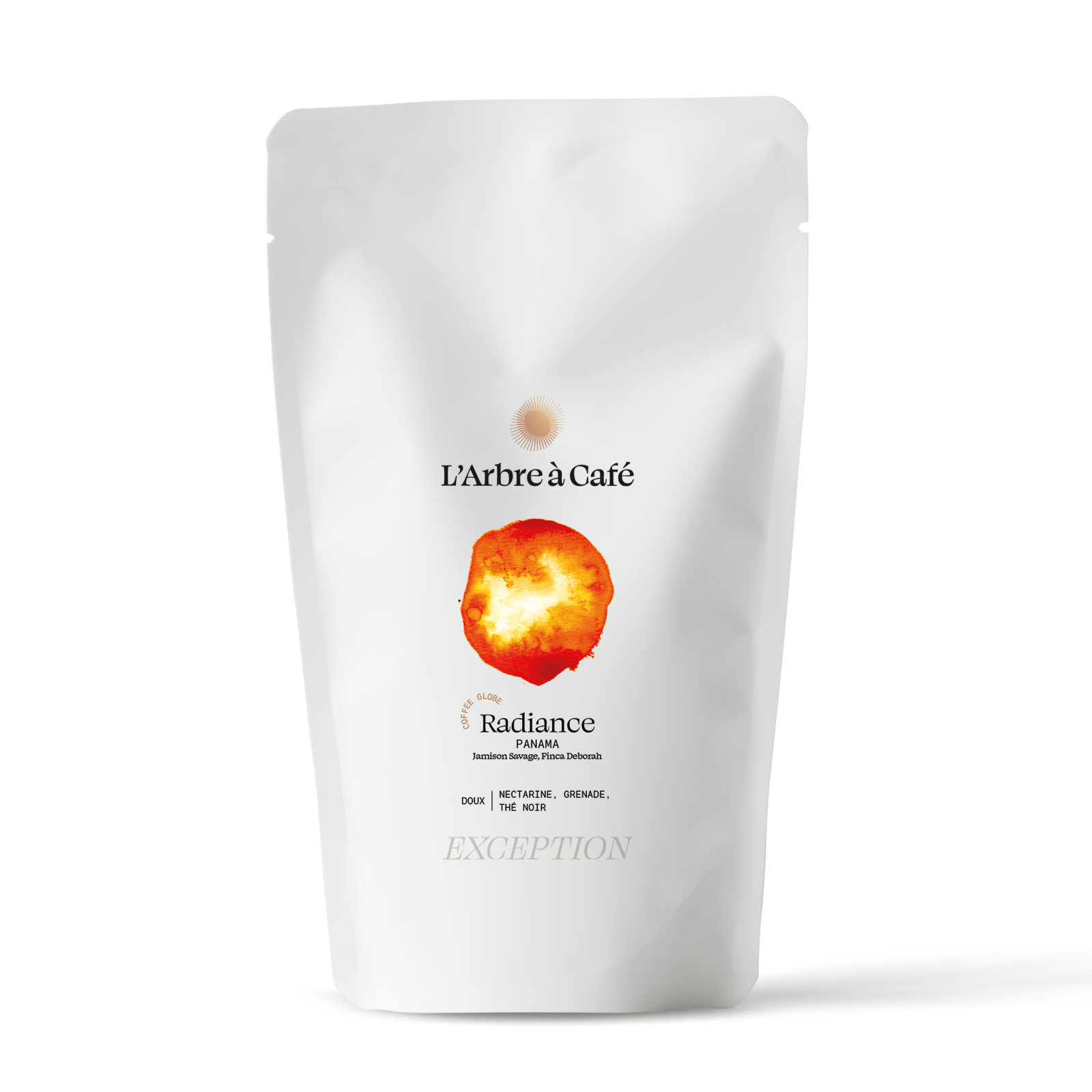 Radiance Coffee Globe by L'Arbre à Café