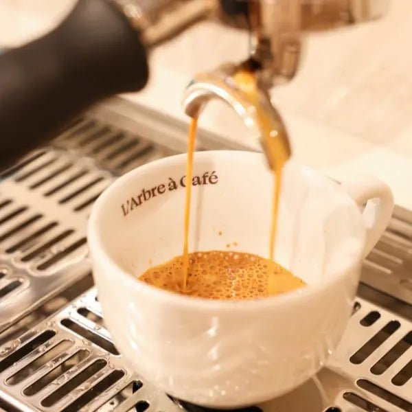 Réussir l'espresso by L'Arbre à Café