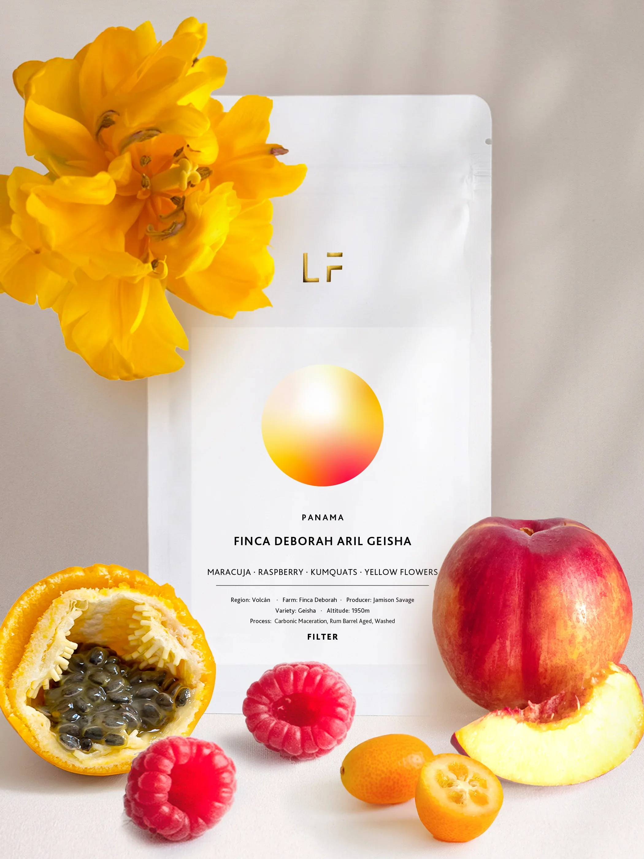 Aril Geisha · Finca Deborah — Panama by Leuchtfeuer Coffee