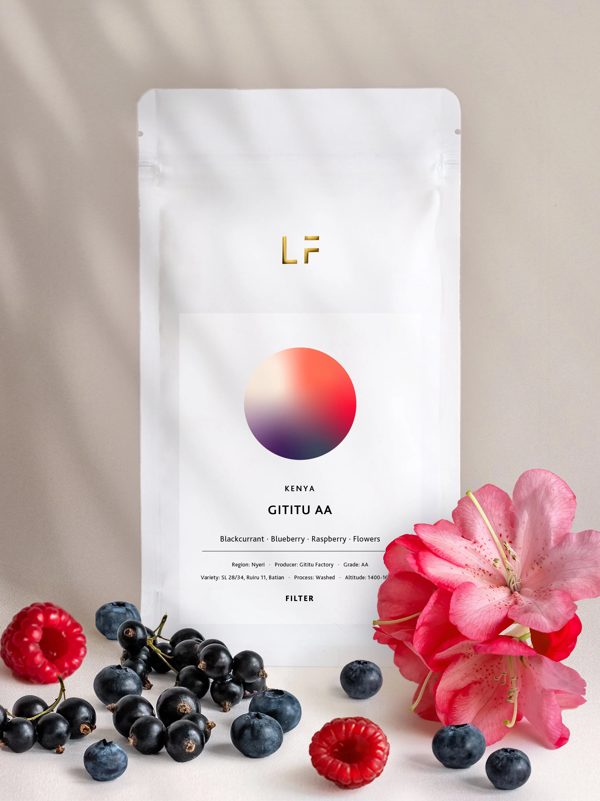 Gititu AA — Kenya by Leuchtfeuer Coffee