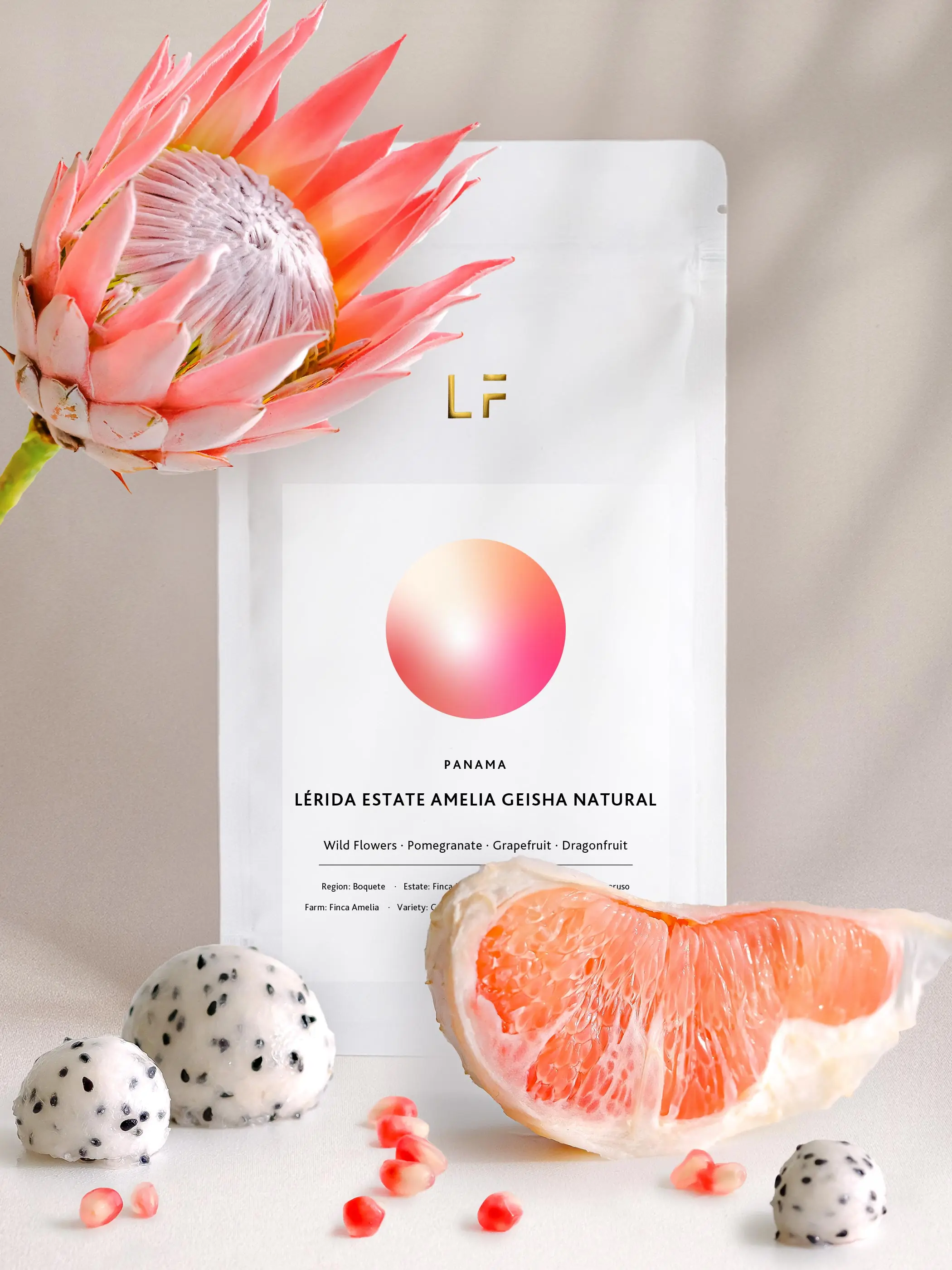 Amelia Geisha natural · Lerida Estate by Leuchtfeuer…
