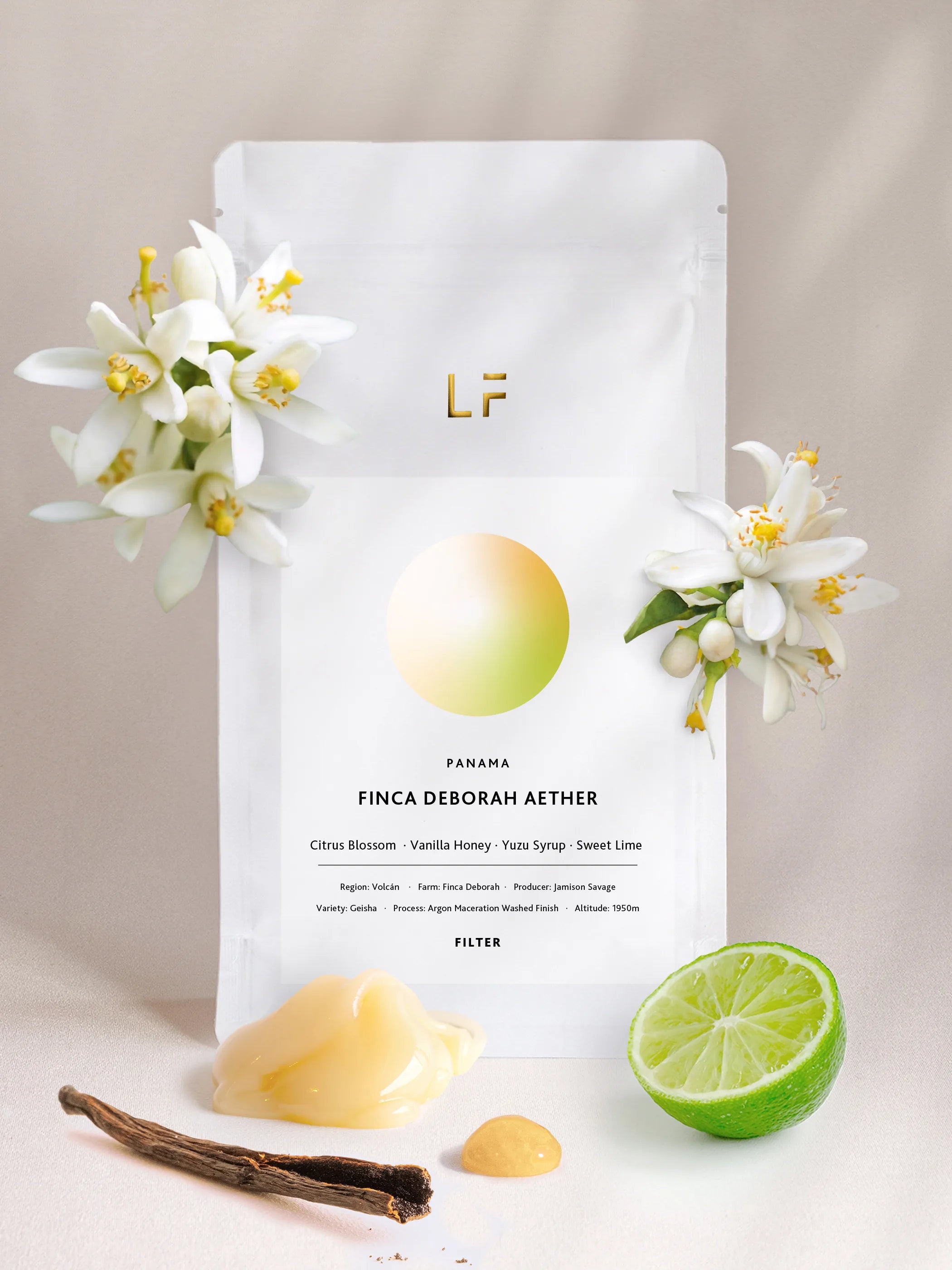 Aether · Finca Deborah by Leuchtfeuer Coffee