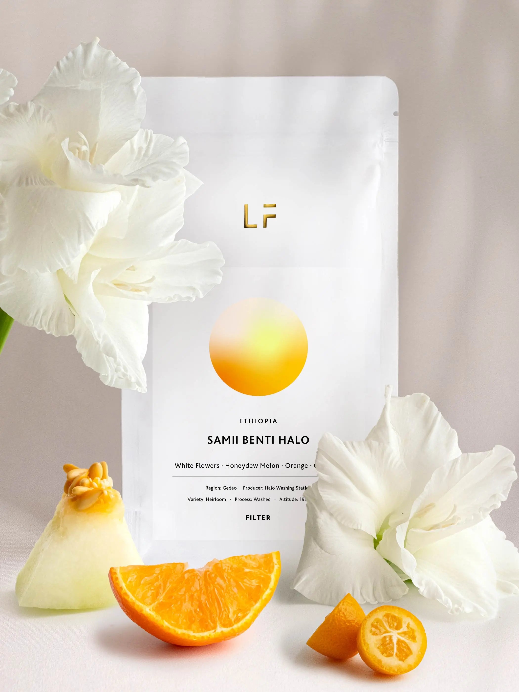 Samii Benti Halo — Ethiopia by Leuchtfeuer Coffee