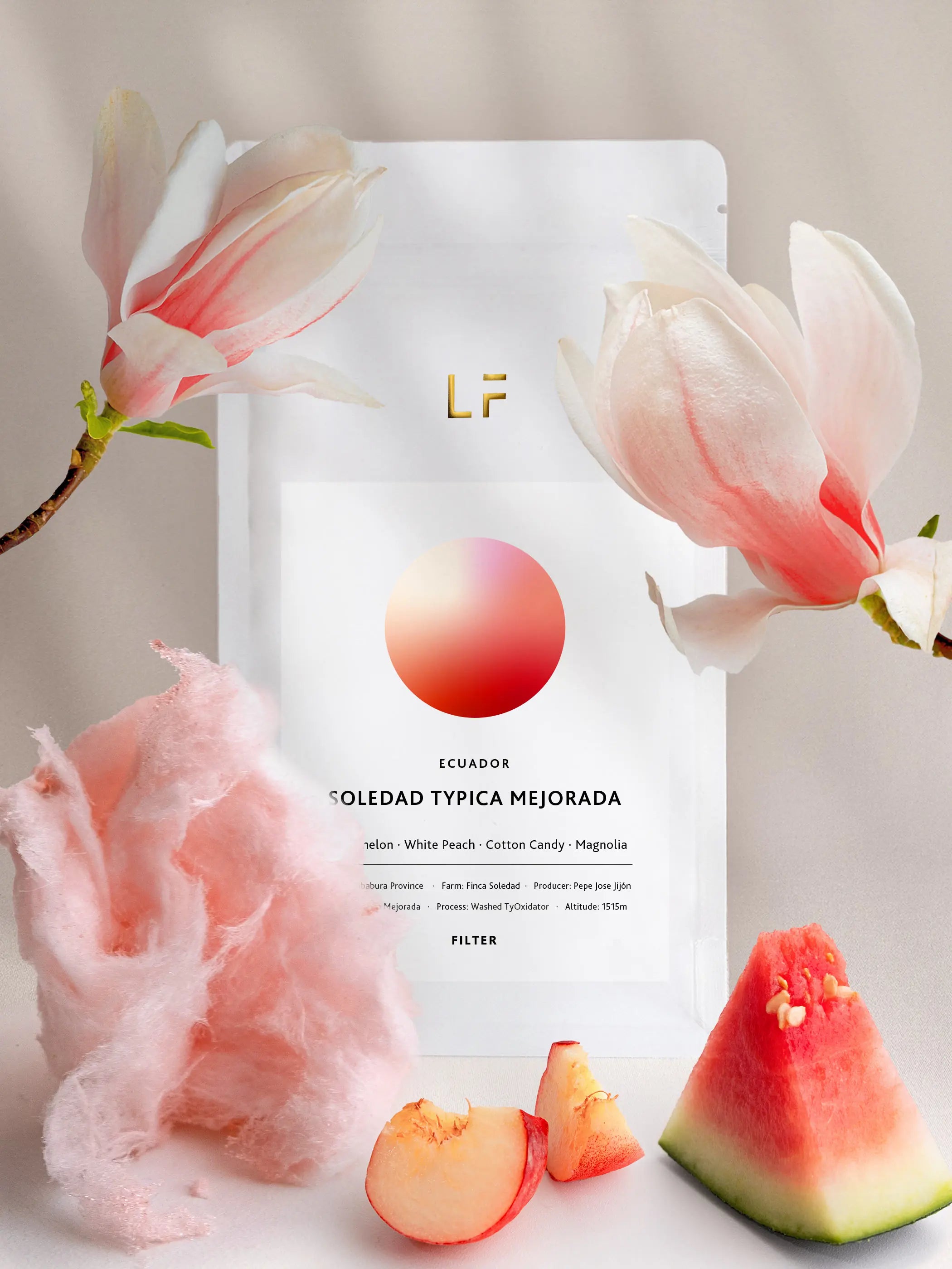Typica Mejorada · Finca Soledad by Leuchtfeuer Coffee