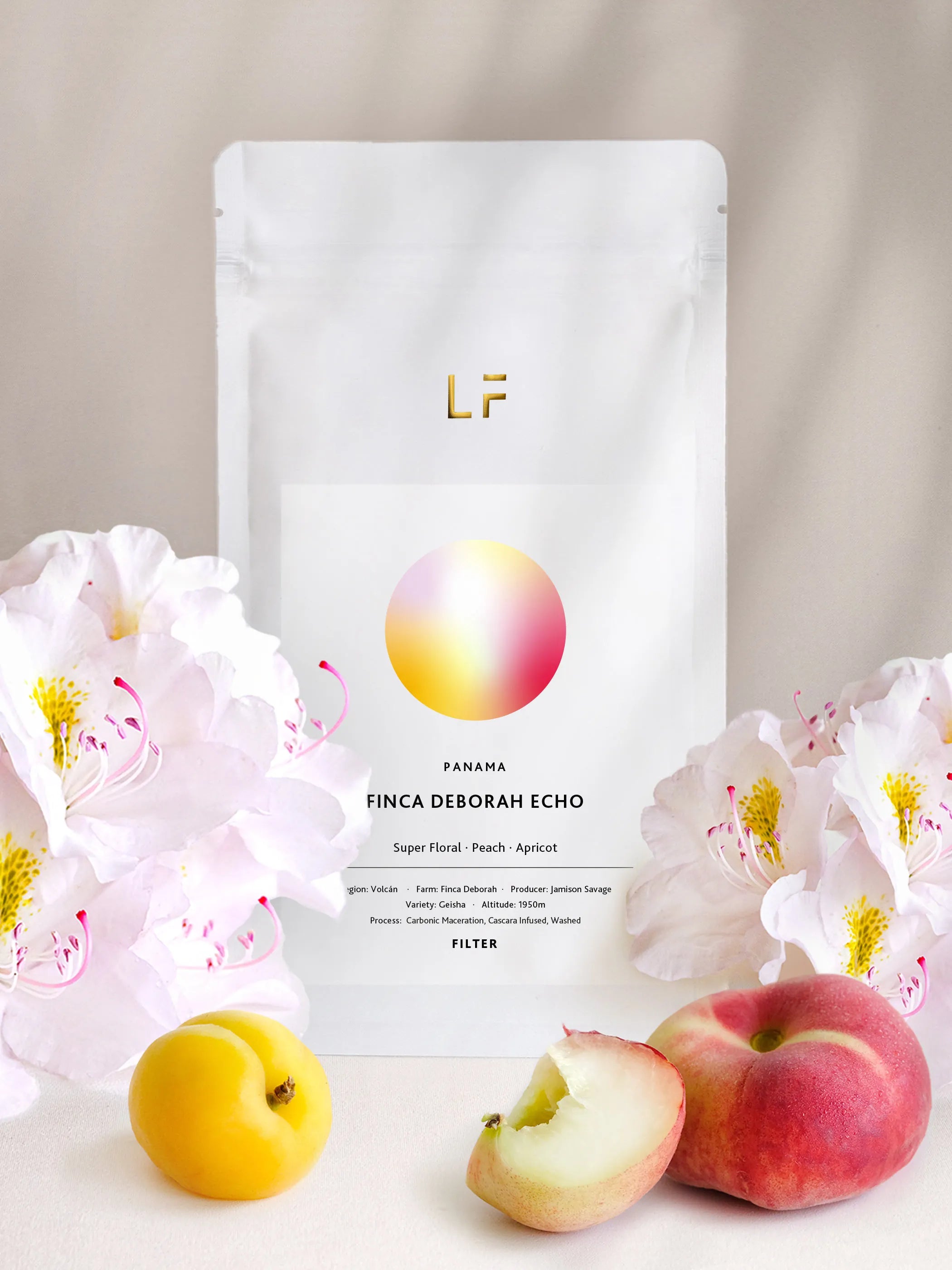 Echo Geisha · Finca Deborah by Leuchtfeuer Coffee