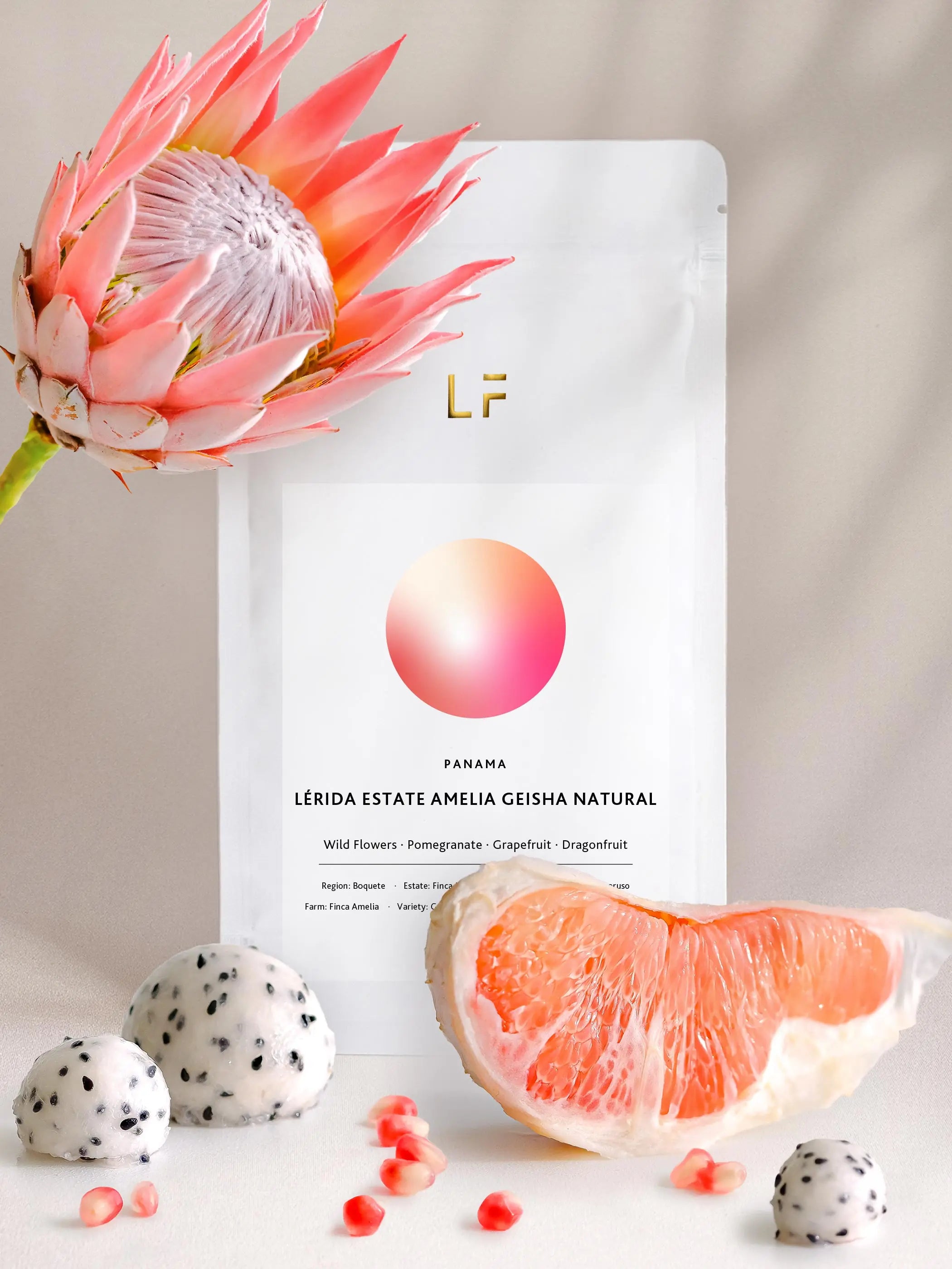 Amelia Geisha natural · Lerida Estate by Leuchtfeuer…