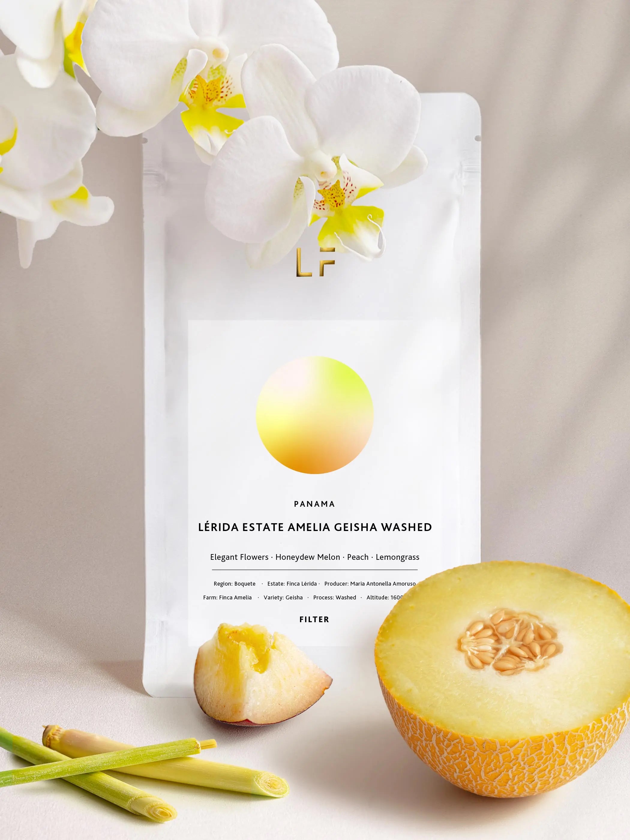 Amelia Geisha washed · Lerida Estate by Leuchtfeuer Coffee