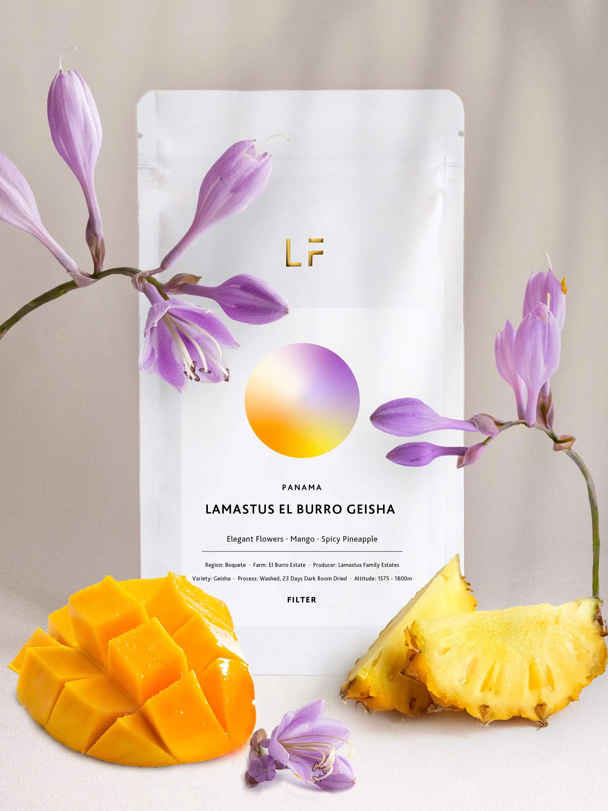El Burro Geisha · Lamastus — Panama by Leuchtfeuer Coffee