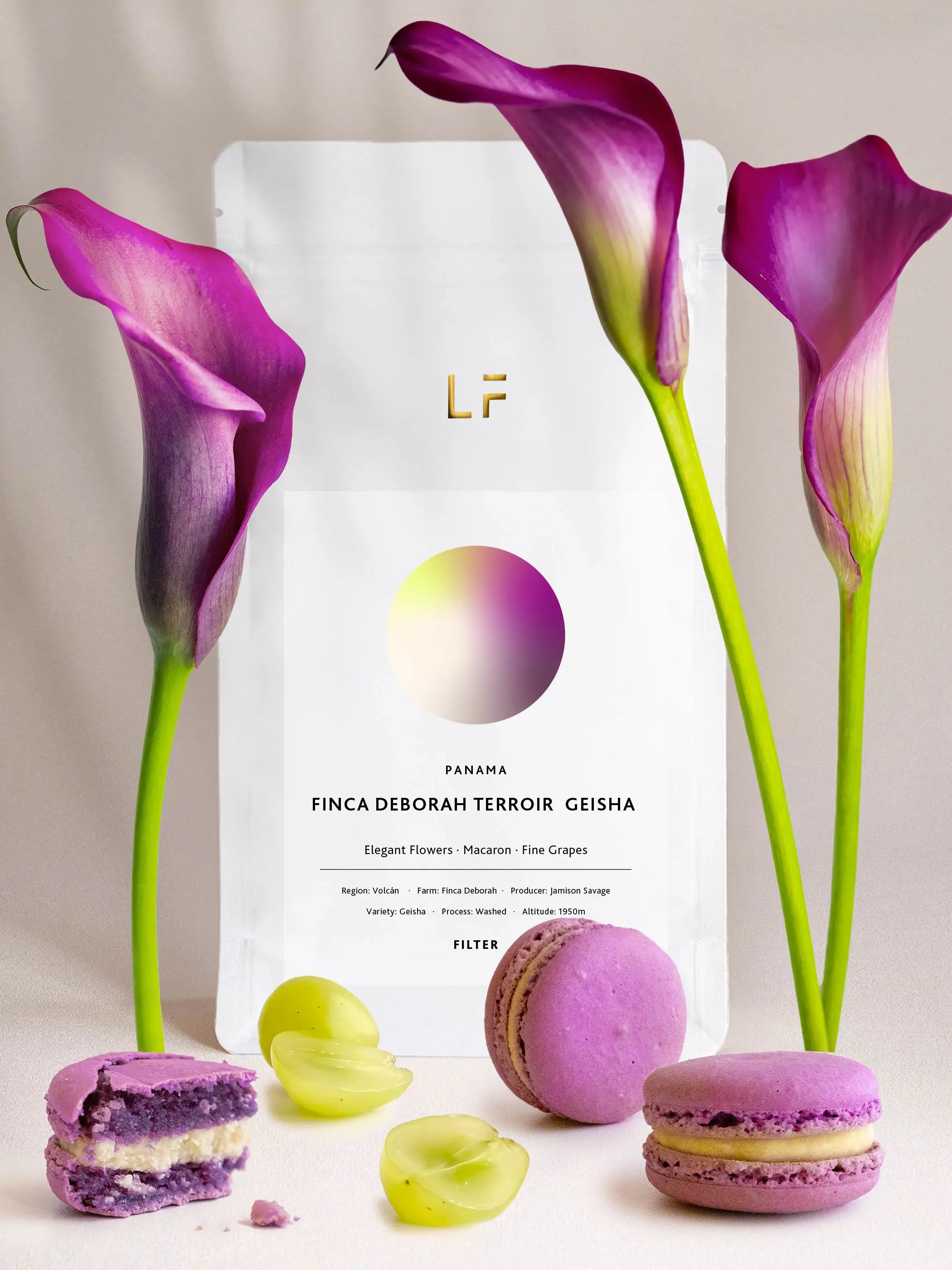Terroir Geisha · Finca Deborah by Leuchtfeuer Coffee