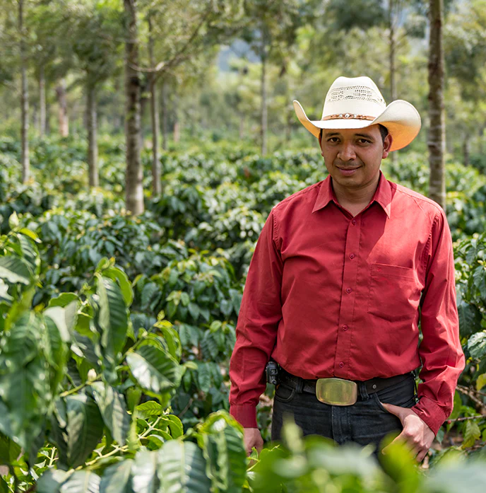 Finca Filadelfia Washed, Guatemala by Lost Horizon Coffee
