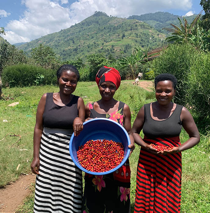 Nyabirongo Extended Fermentation Natural, Uganda by Lost…