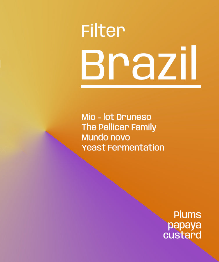 Brazil Fazenda Mio Talado - Filter
