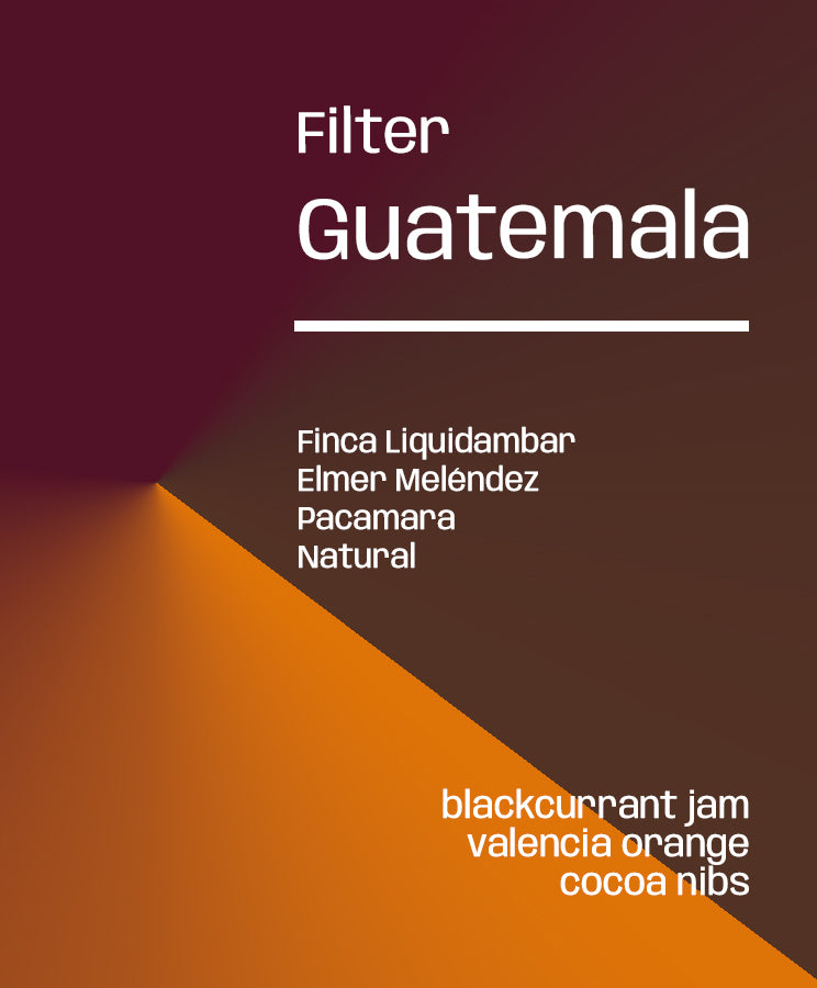 Guatemala Liquidambar Pacamara - Filter by Lucid Coffee…
