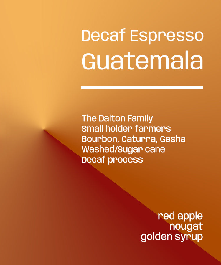 Guatemala Dreams Decaf- Espresso by Lucid Coffee Roasters