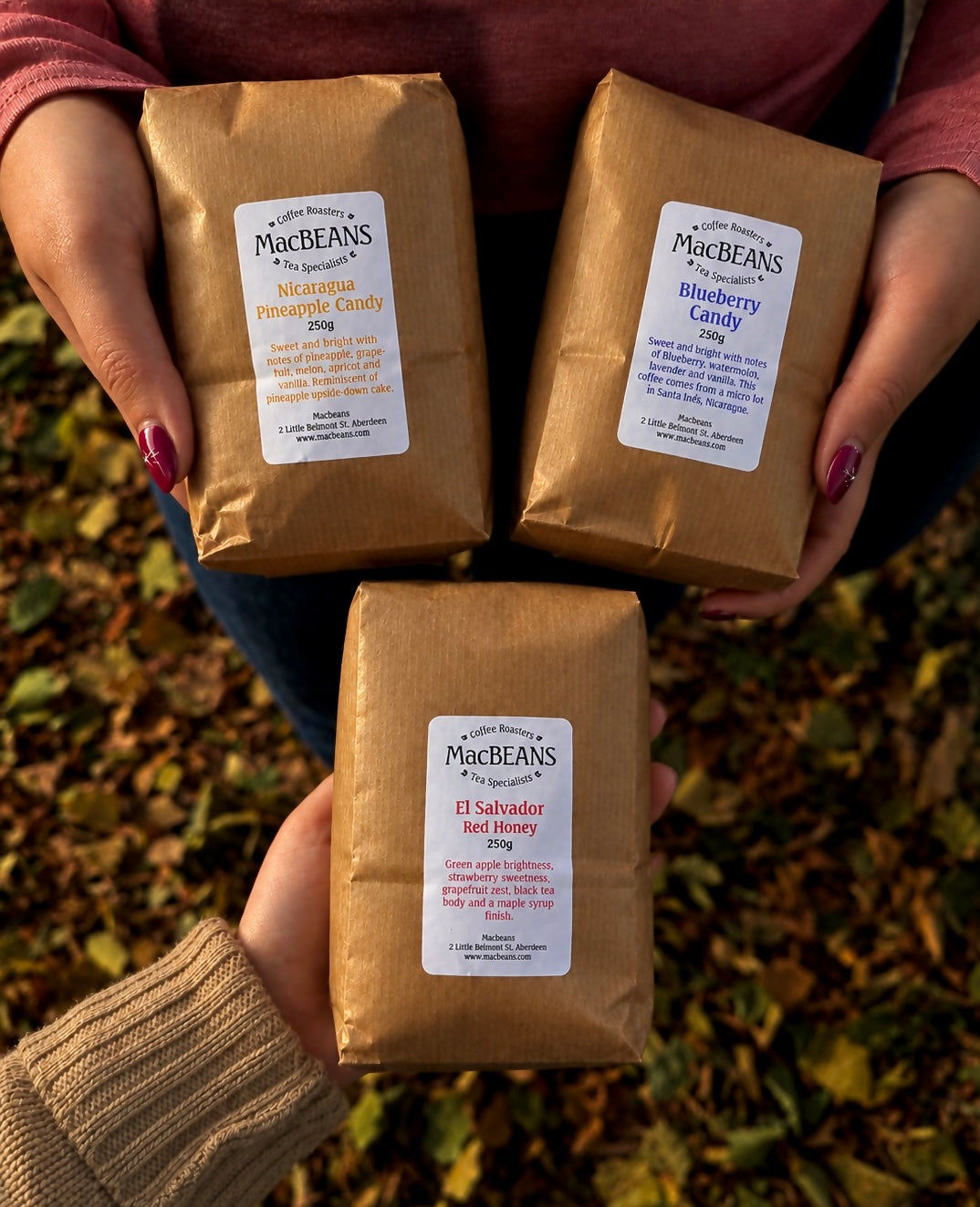 NEW Sweet Treat Trilogy — El Salvador by MacBeans Coffee