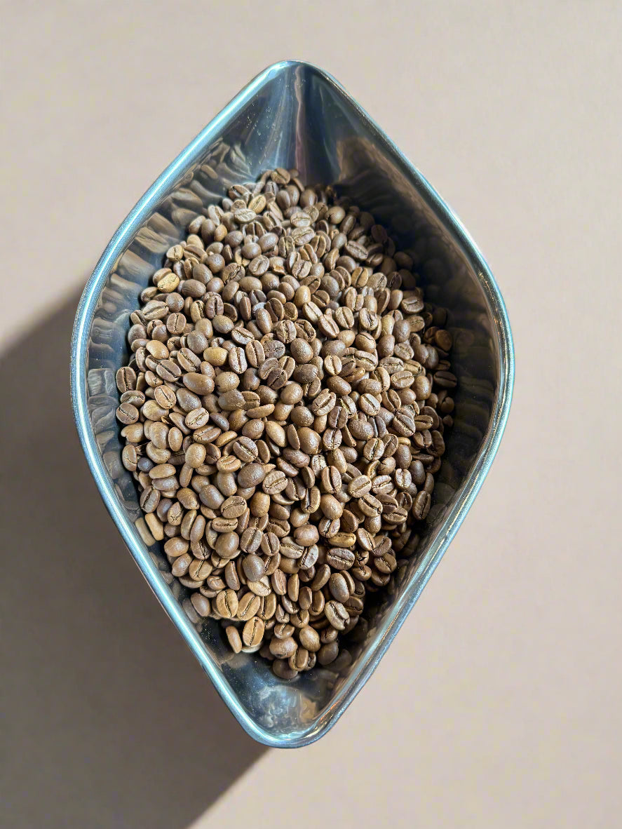 INDIA - Monsoon Malabar — India by MacBeans Coffee