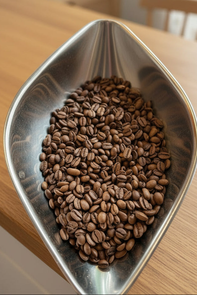 Nicaragua - Blueberry Candy — Nicaragua by MacBeans Coffee