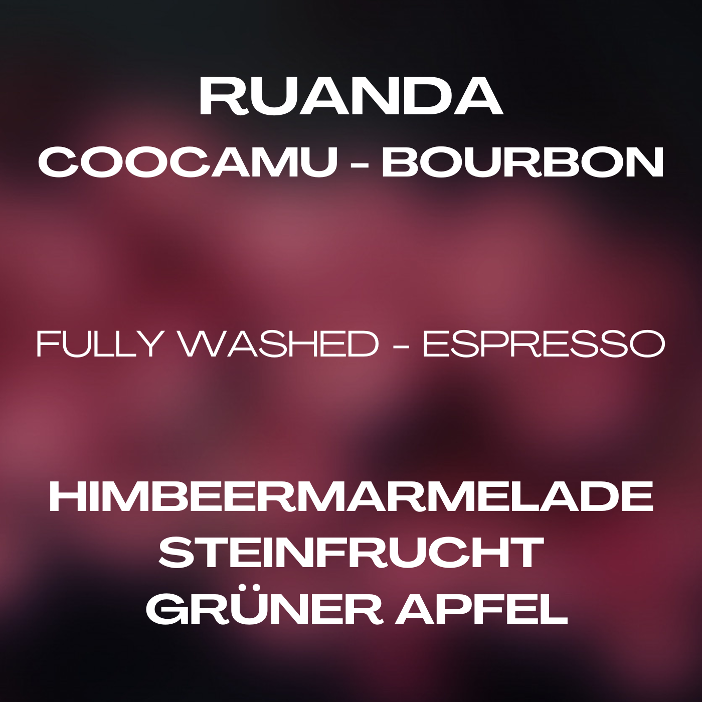 Rwanda Bourbon - Coocamu by Maisto Caffe
