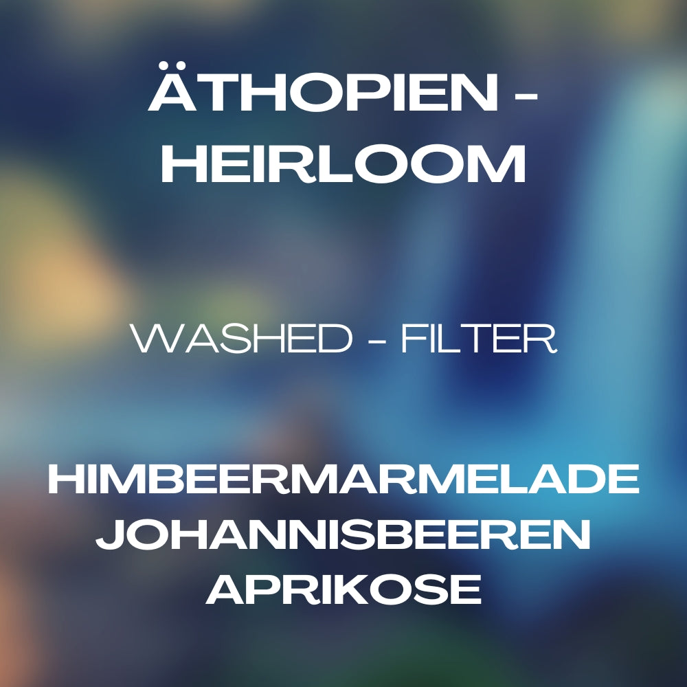 Ethiopia - Heirloom by Maisto Caffe