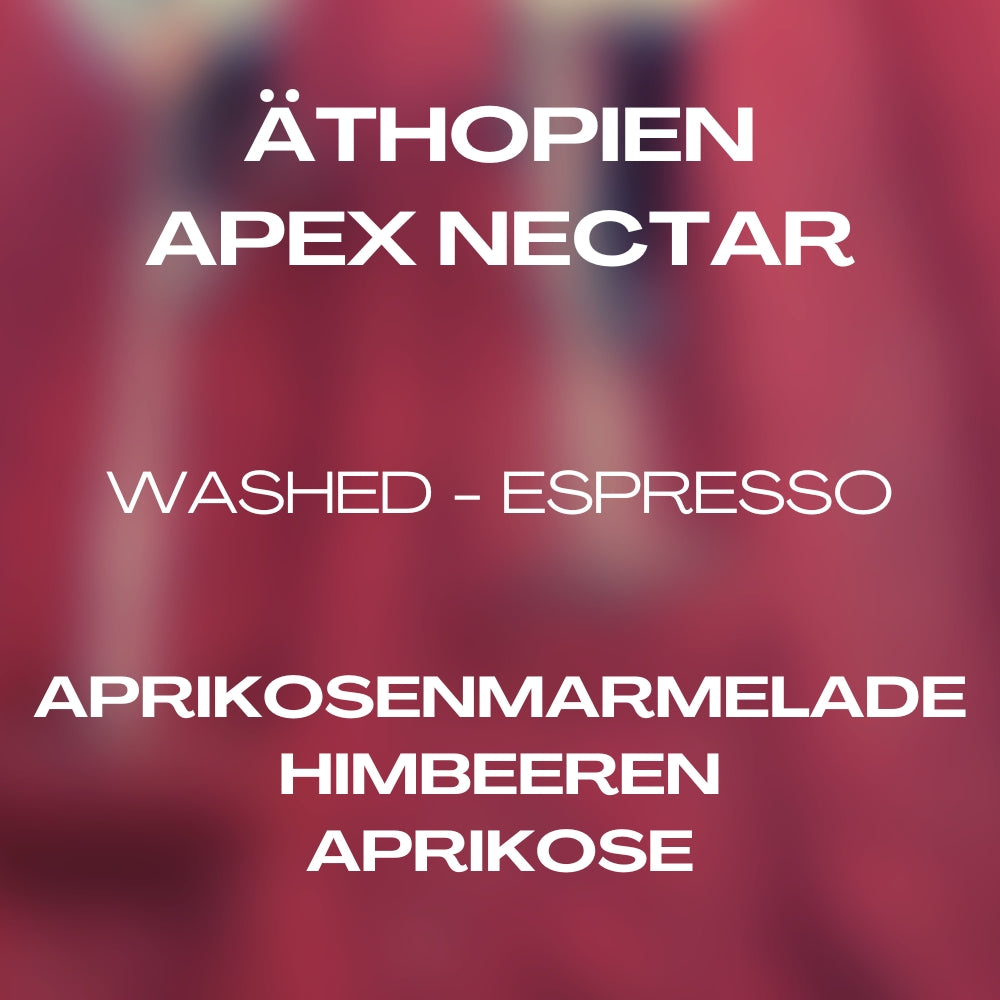 Ethiopia - Apex Nectar by Maisto Caffe