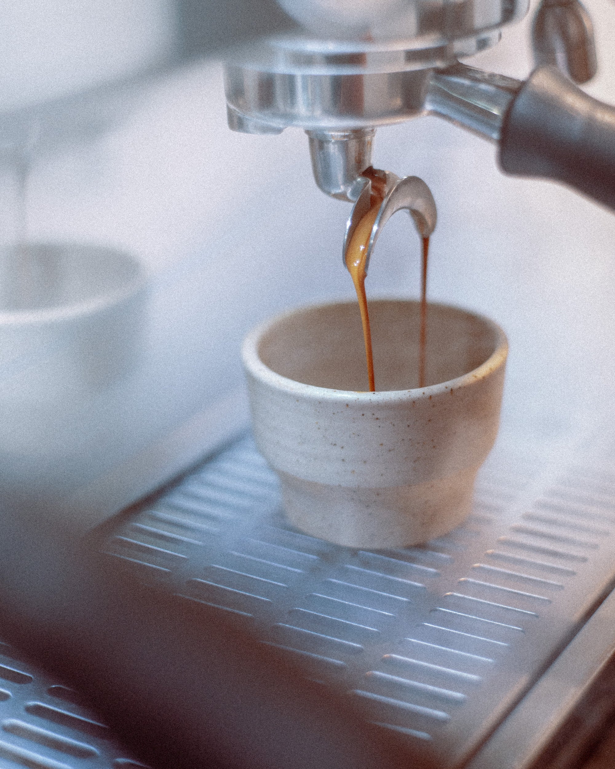Espresso Extraction · Private workshop by Maldanercoffee