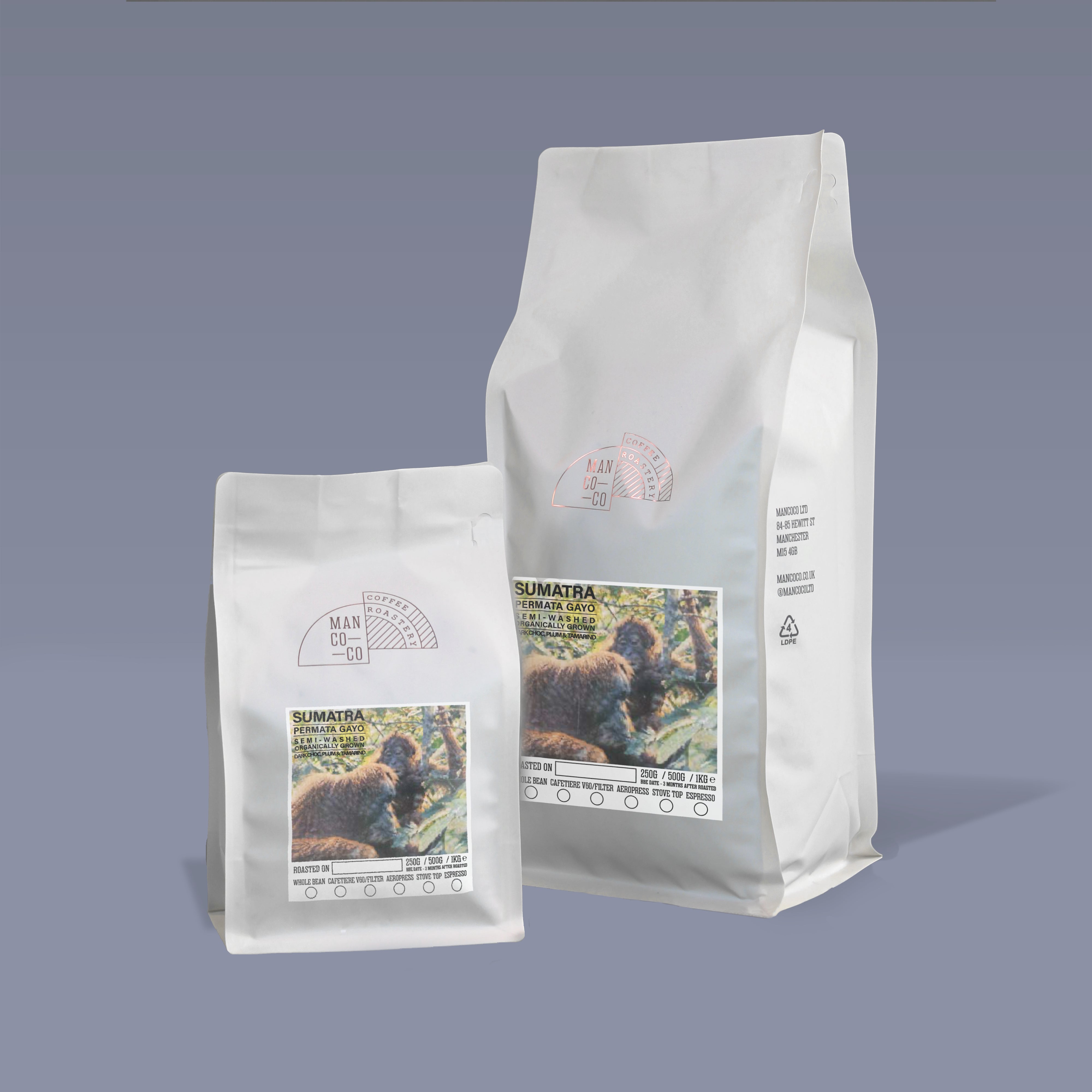 Indonesian (Sumatra) - Permata Gayo by ManCoCo