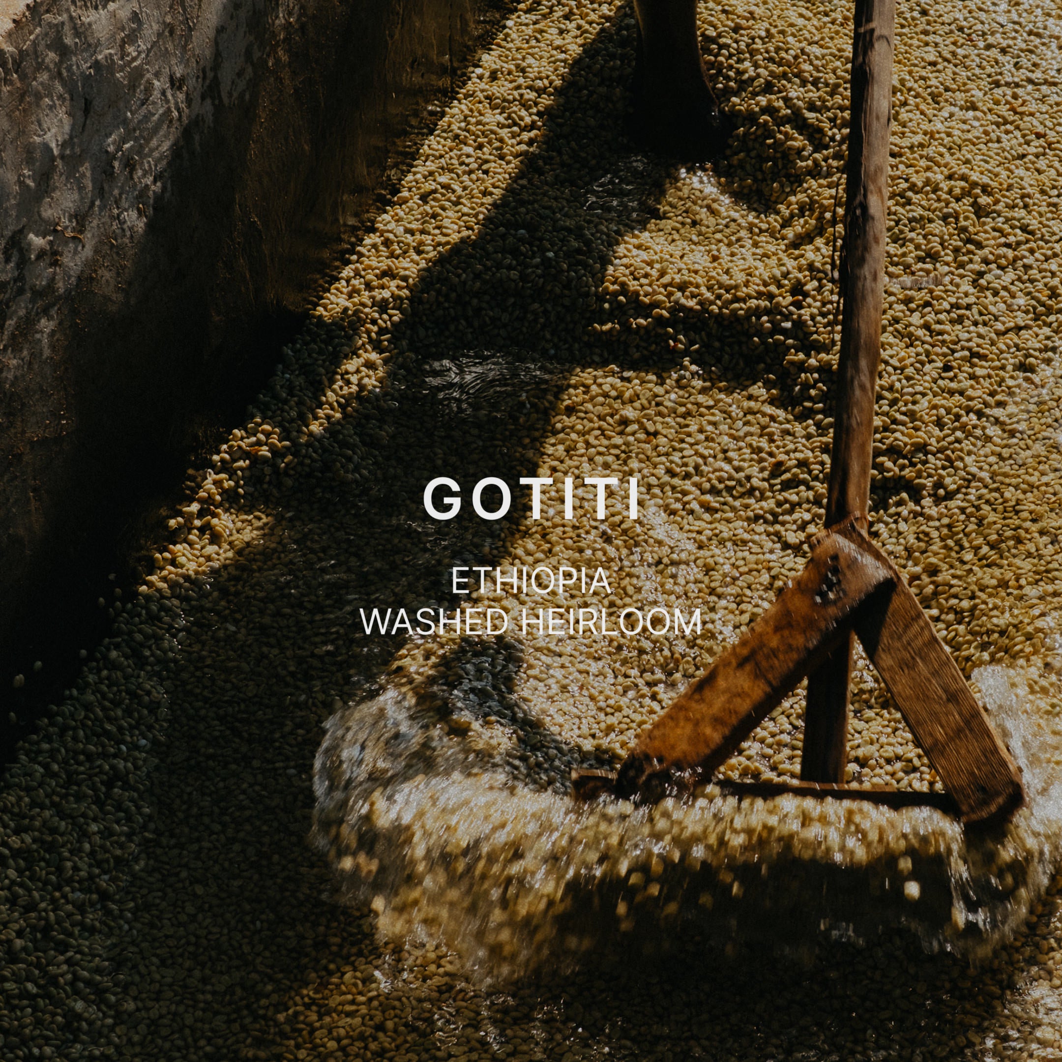 GOTITI — Ethiopia by Mazelab Coffee Roasters