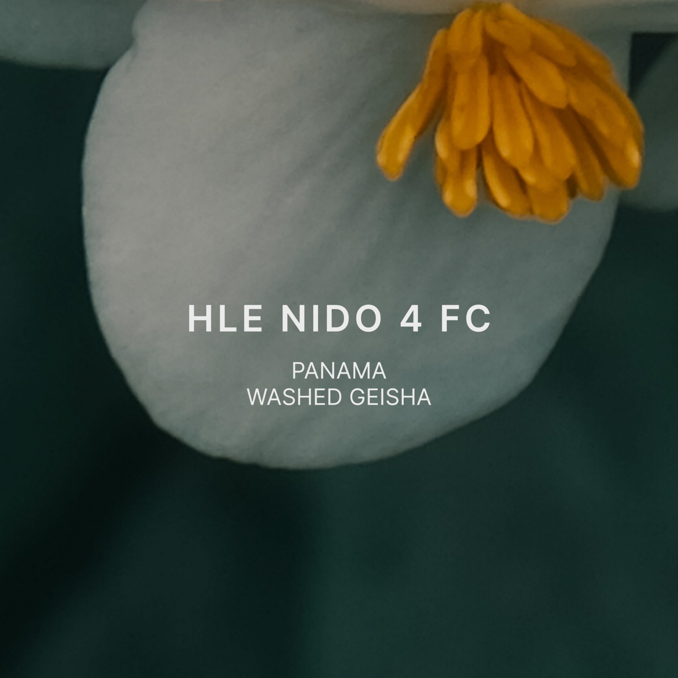 HLE NIDO 4 FC — Panama