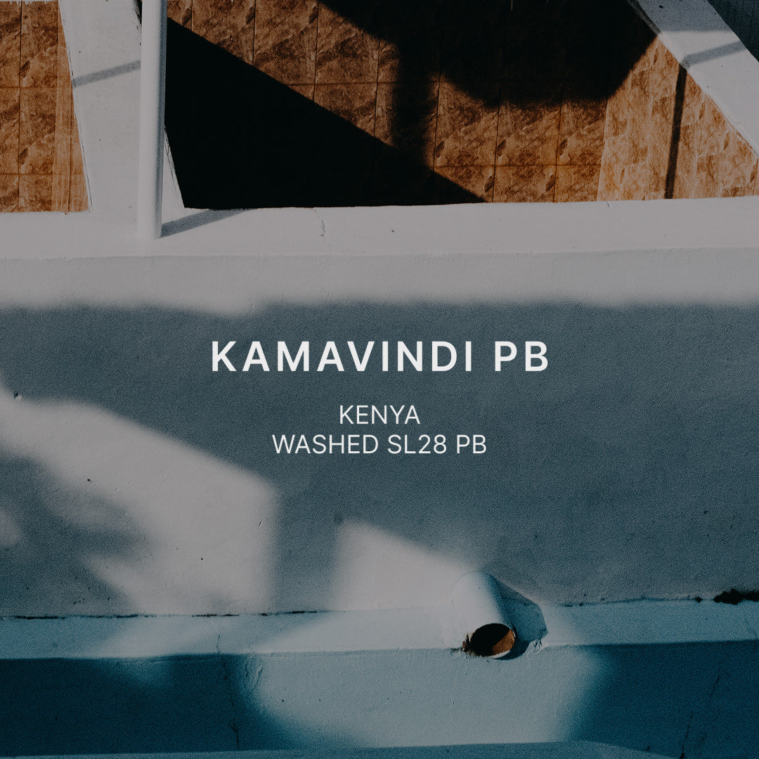 KAMAVINDI SL28 PB — Kenya by Mazelab Coffee Roasters