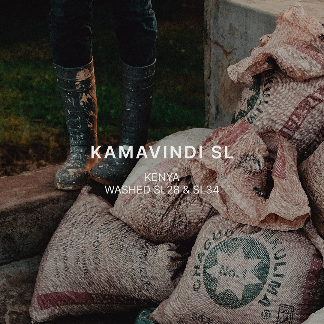 KAMAVINDI SL — Kenya by Mazelab Coffee Roasters