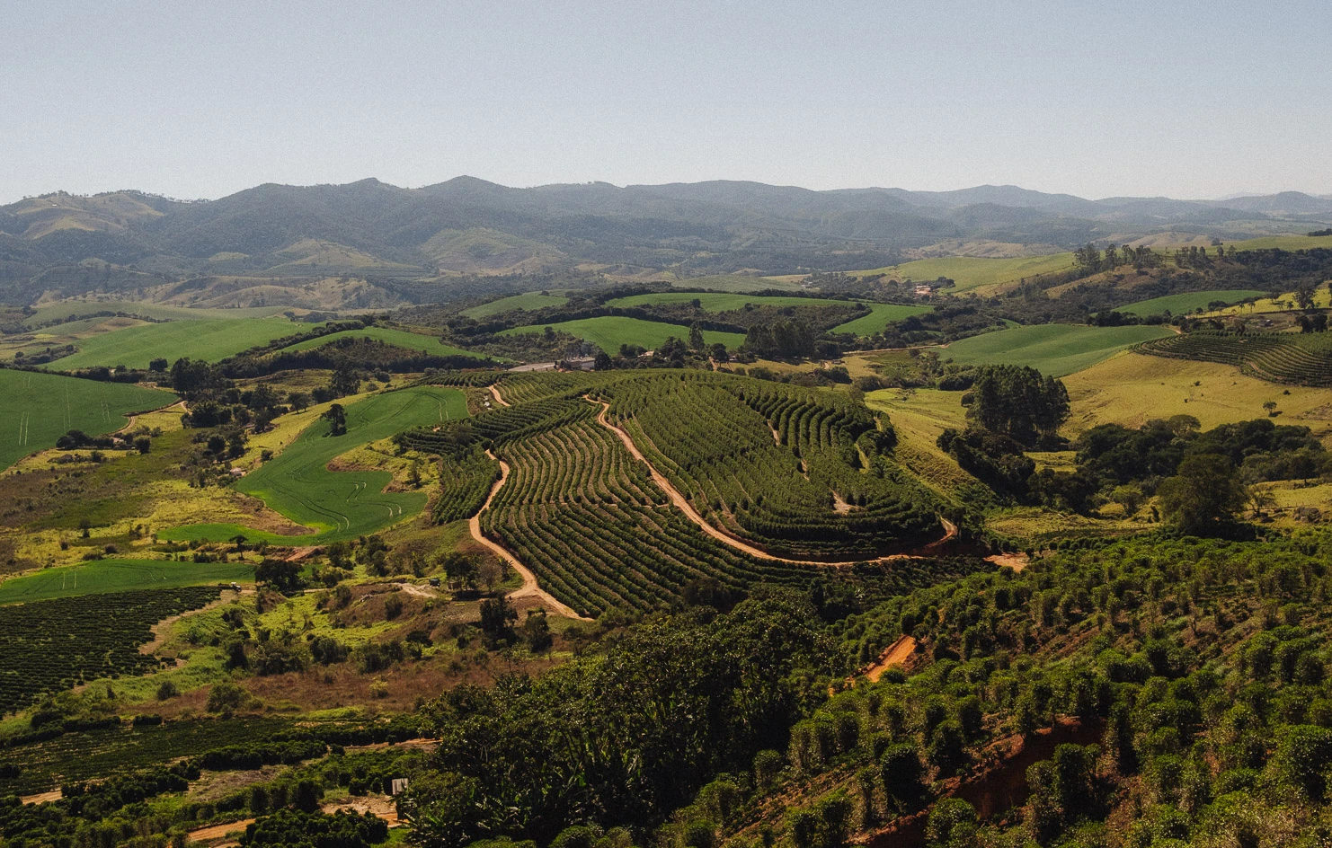 Fazenda IP — Brazil by Monmouth Coffee Company