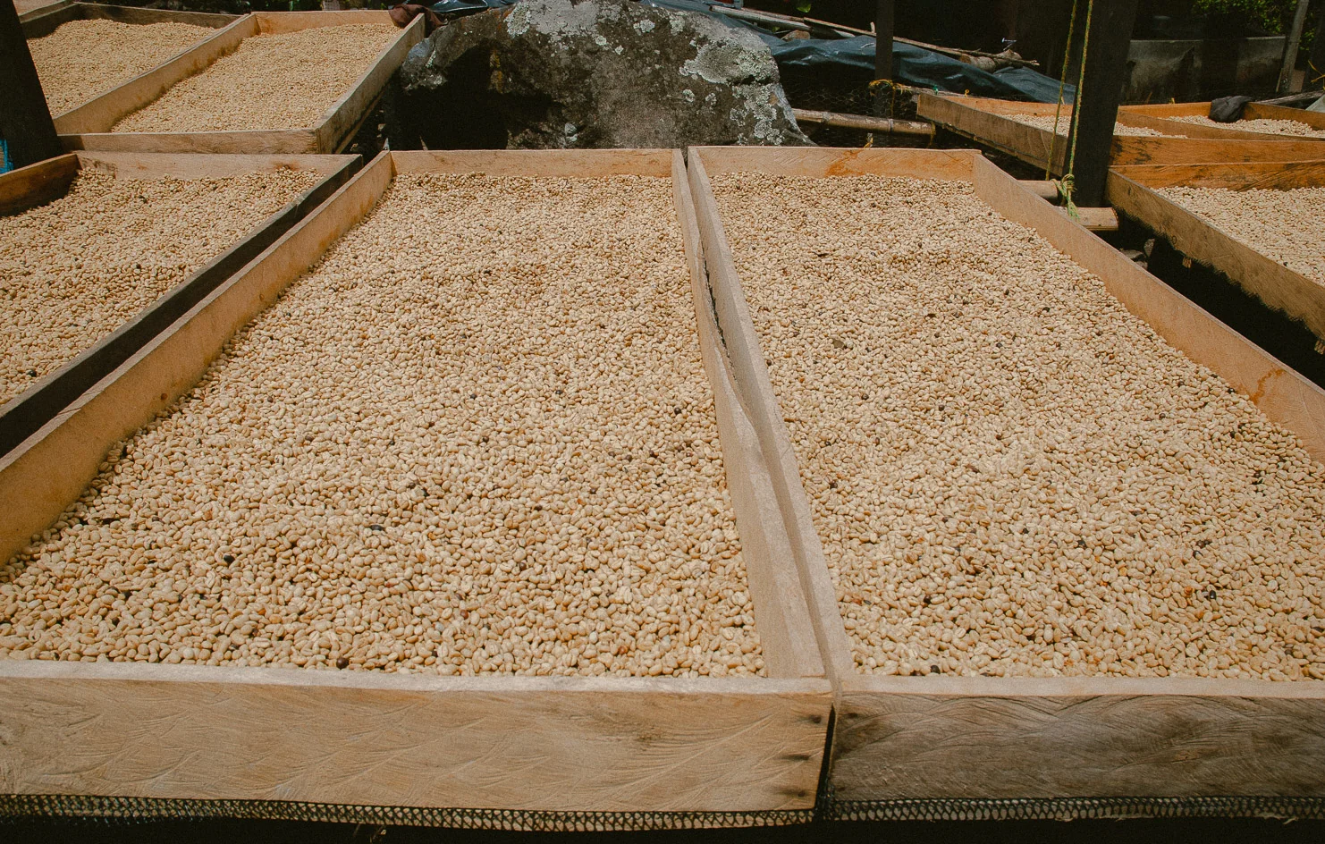 Finca Galeras — Colombia by Monmouth Coffee Company