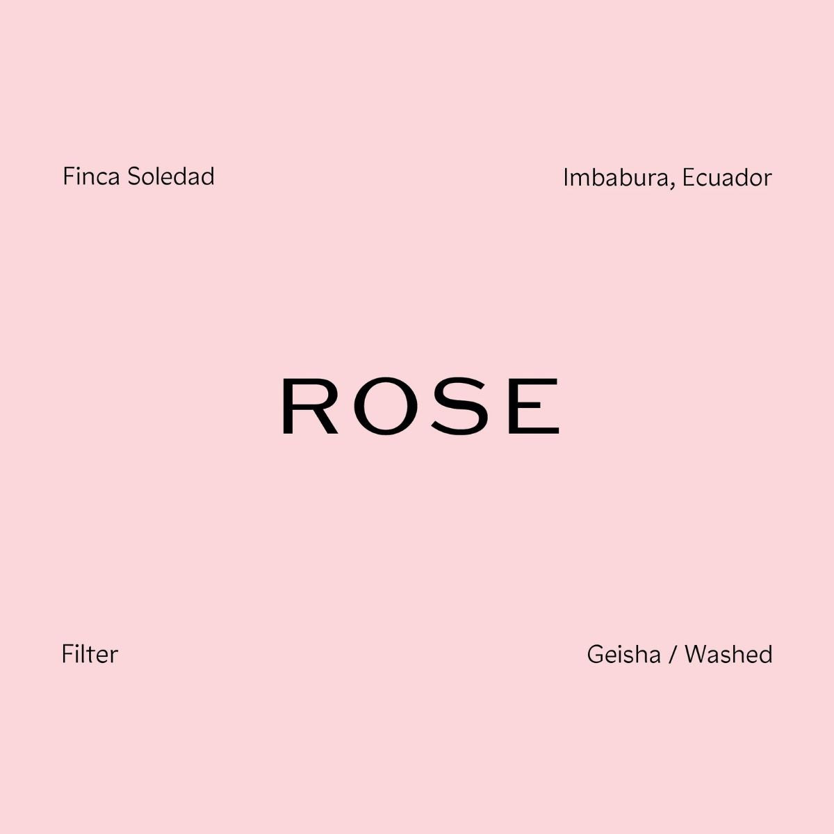 Rose - Finca Soledad Gesha — Ecuador by Nordic Brew Lab