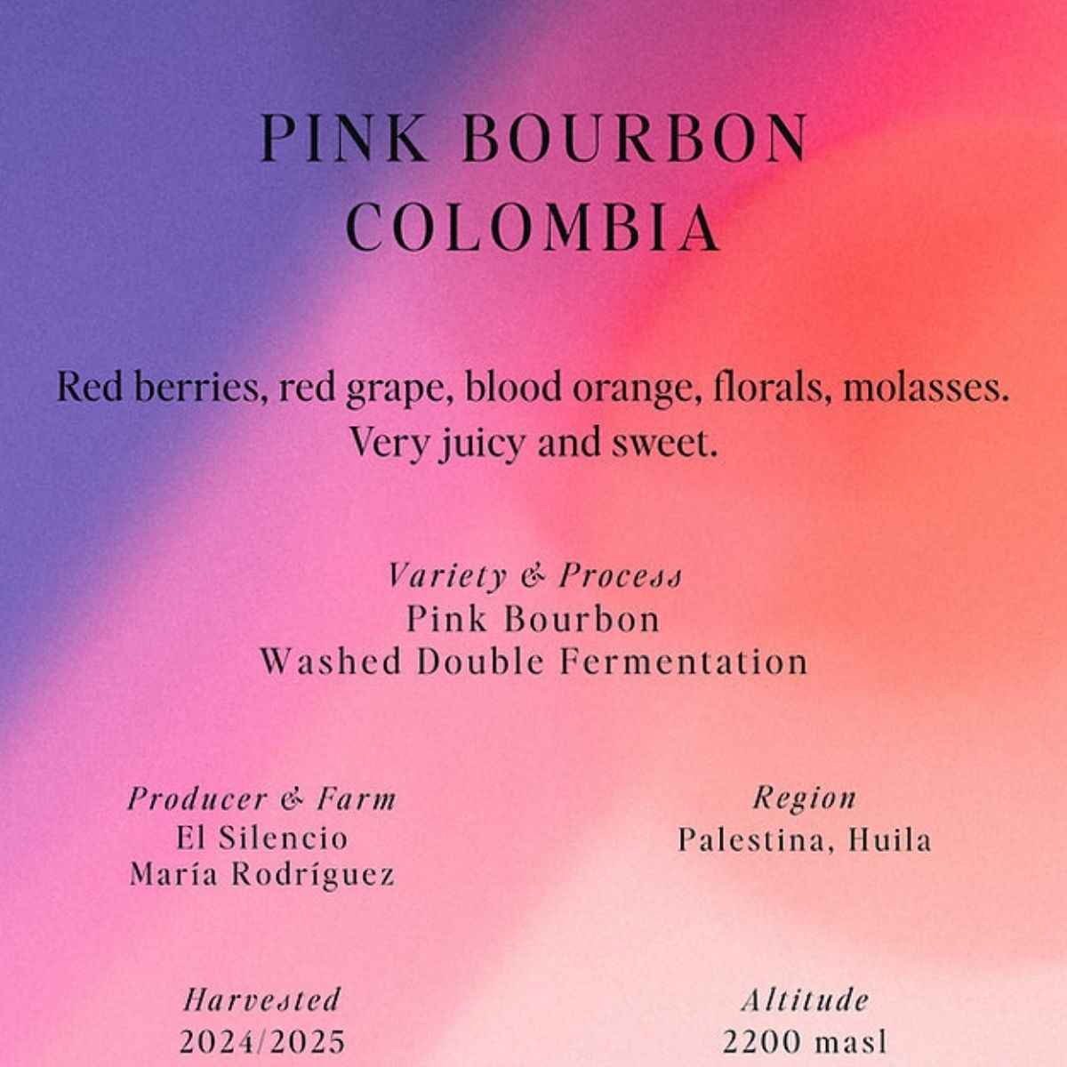 Colombia "El Silencio" Washed Double-Fermentation Pink…