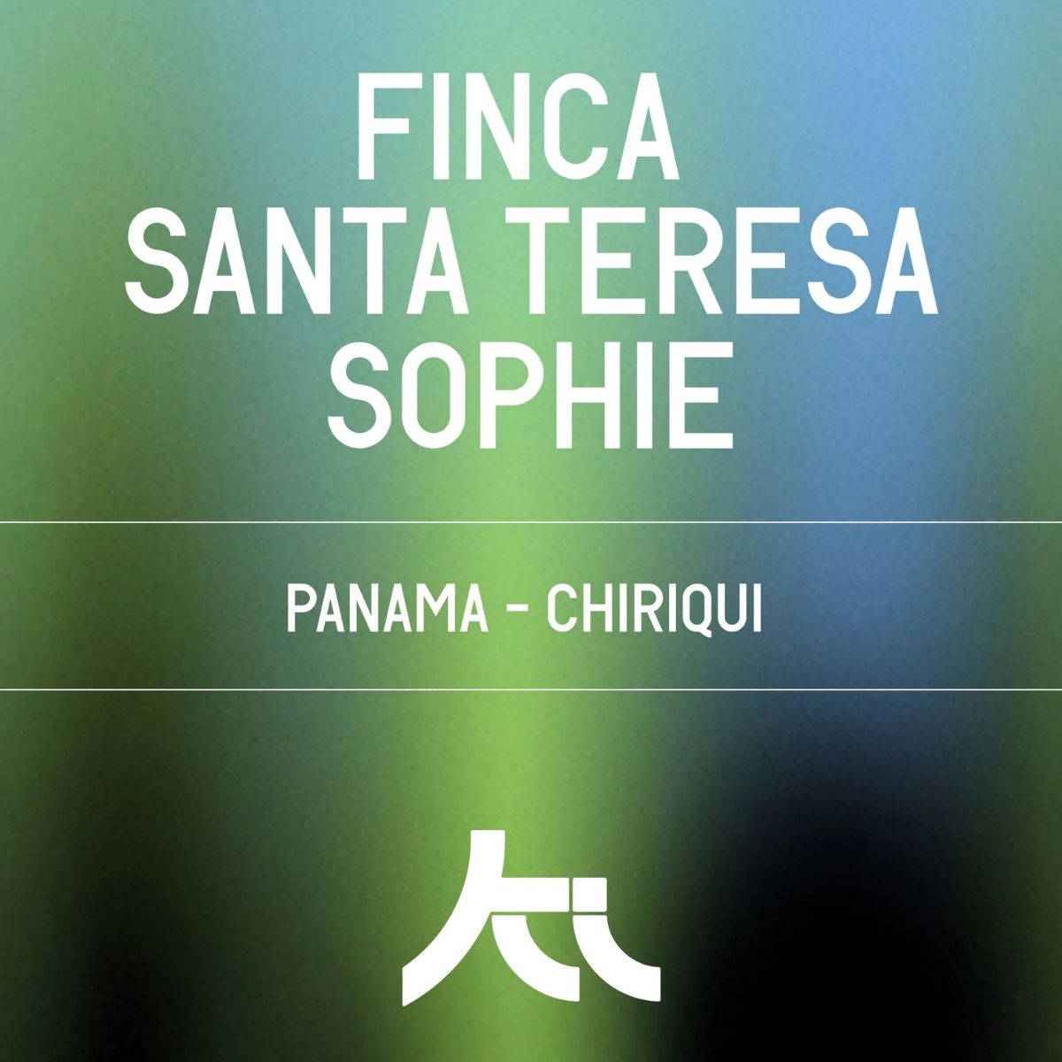 ★ Panama "Sophie Finca Santa Theresa" Washed Gesha…