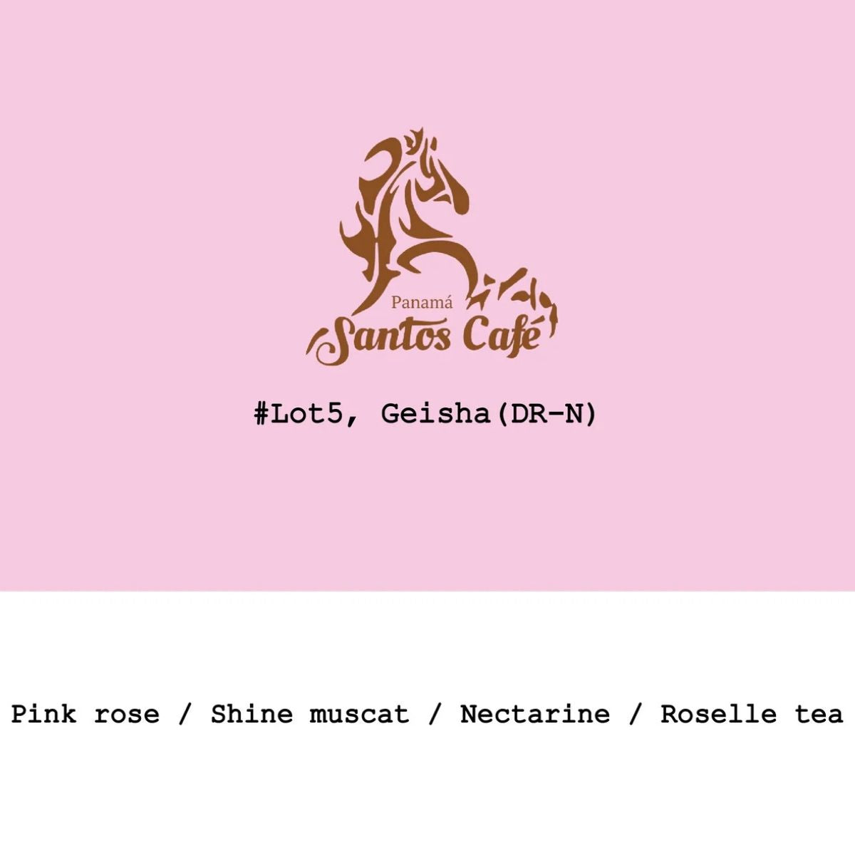 ★ Panama "Santos Café Lot5 " Dark Room Natural Gesha…
