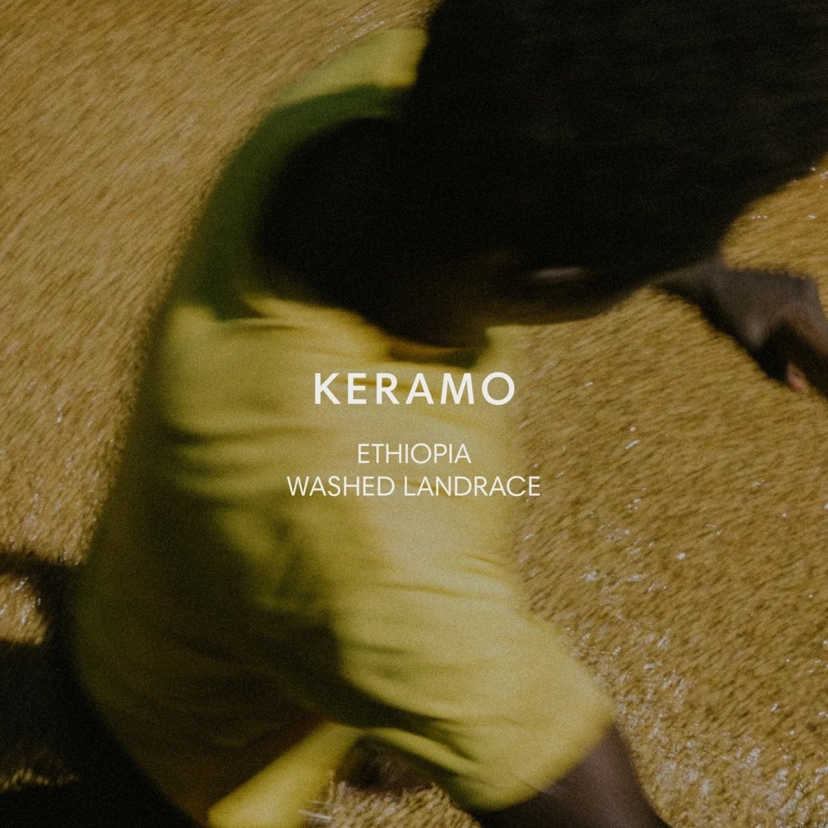Ethiopia "Keramo" Washed Landrace - Mazelab by Nordic…
