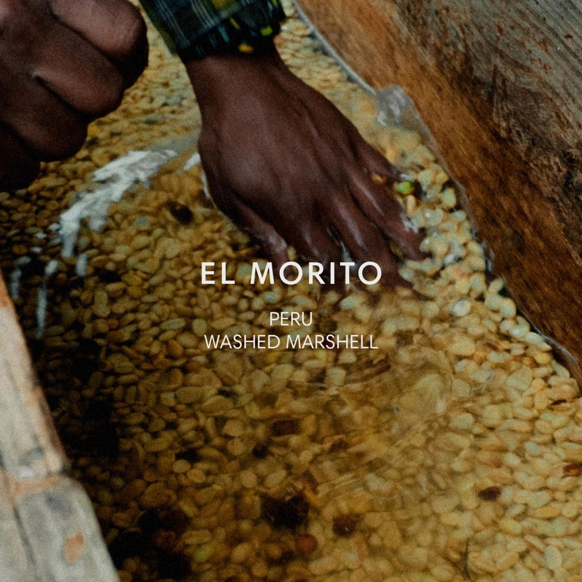 Peru "El Morito" Washed Marshell - Mazelab by Nordic…