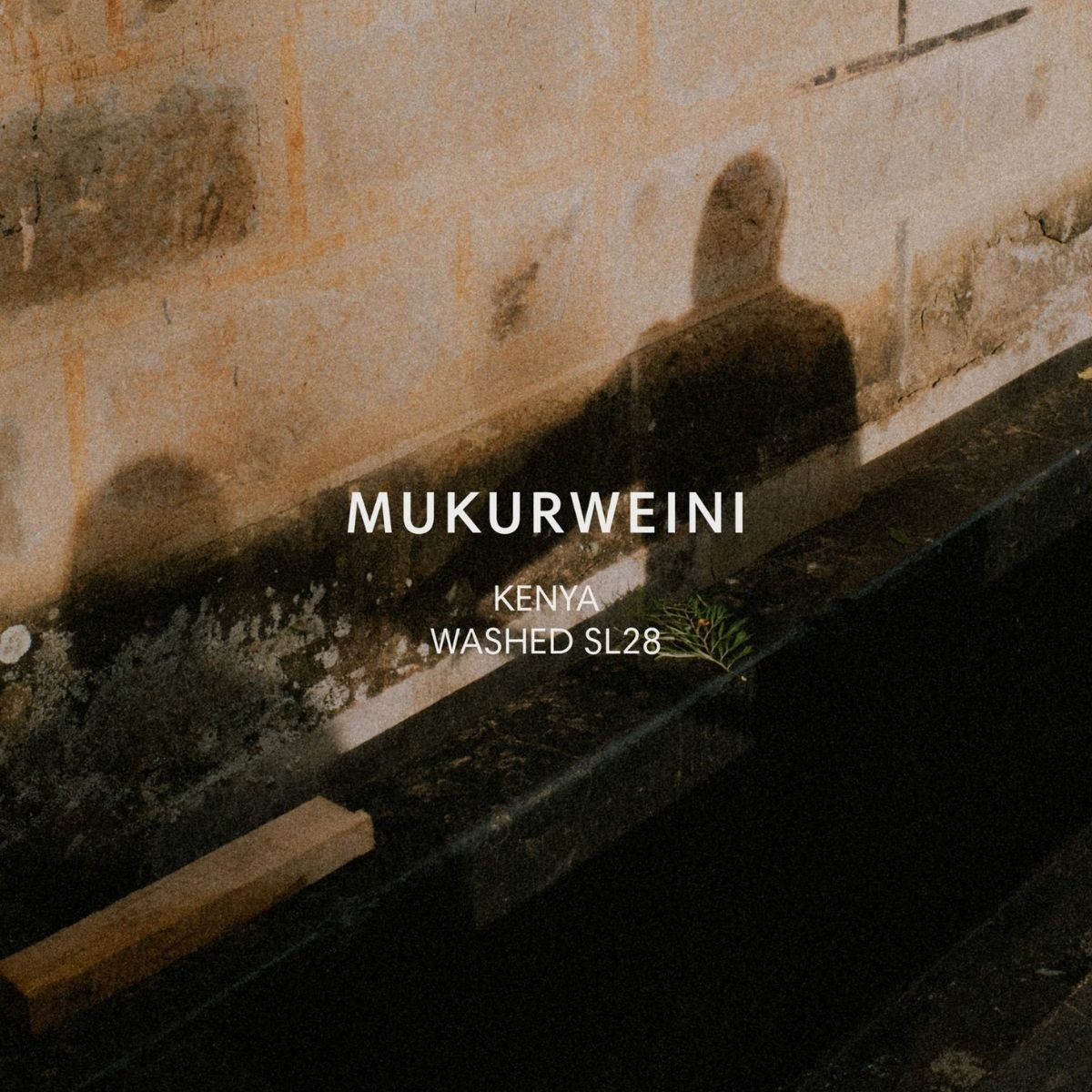 Kenya "Mukurweini" Washed SL28 - Mazelab by Nordic Brew…