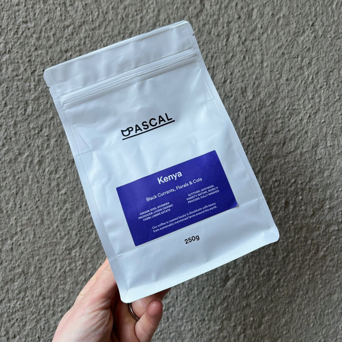 Pascal - Kenya Kisii by Nordic Brew Lab