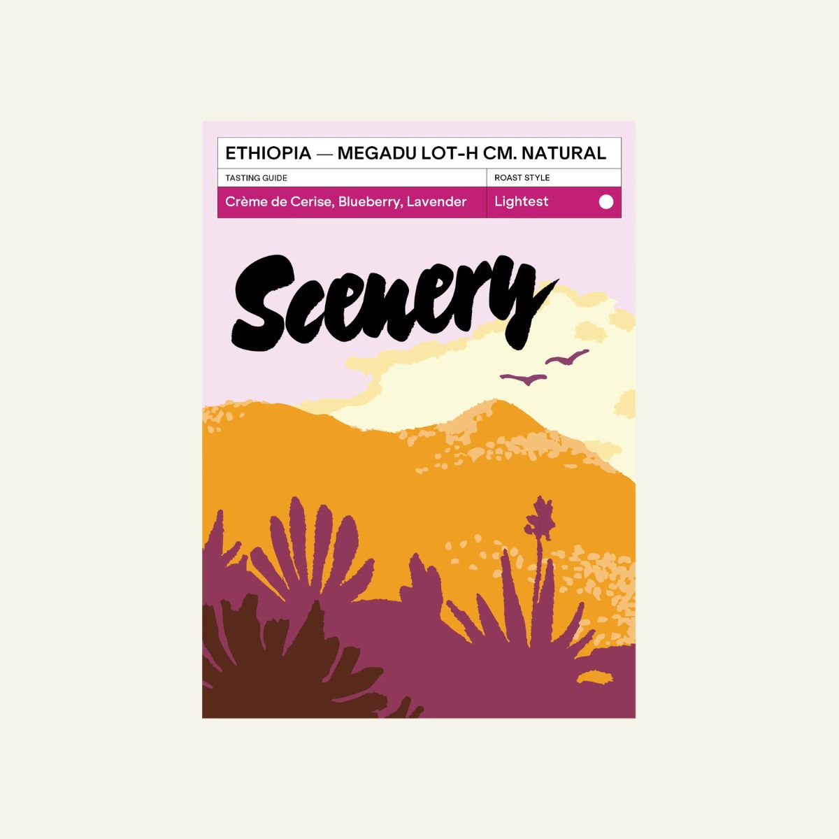 Ethiopia "Cherry Ascension" Carbonic Macerated Natural…