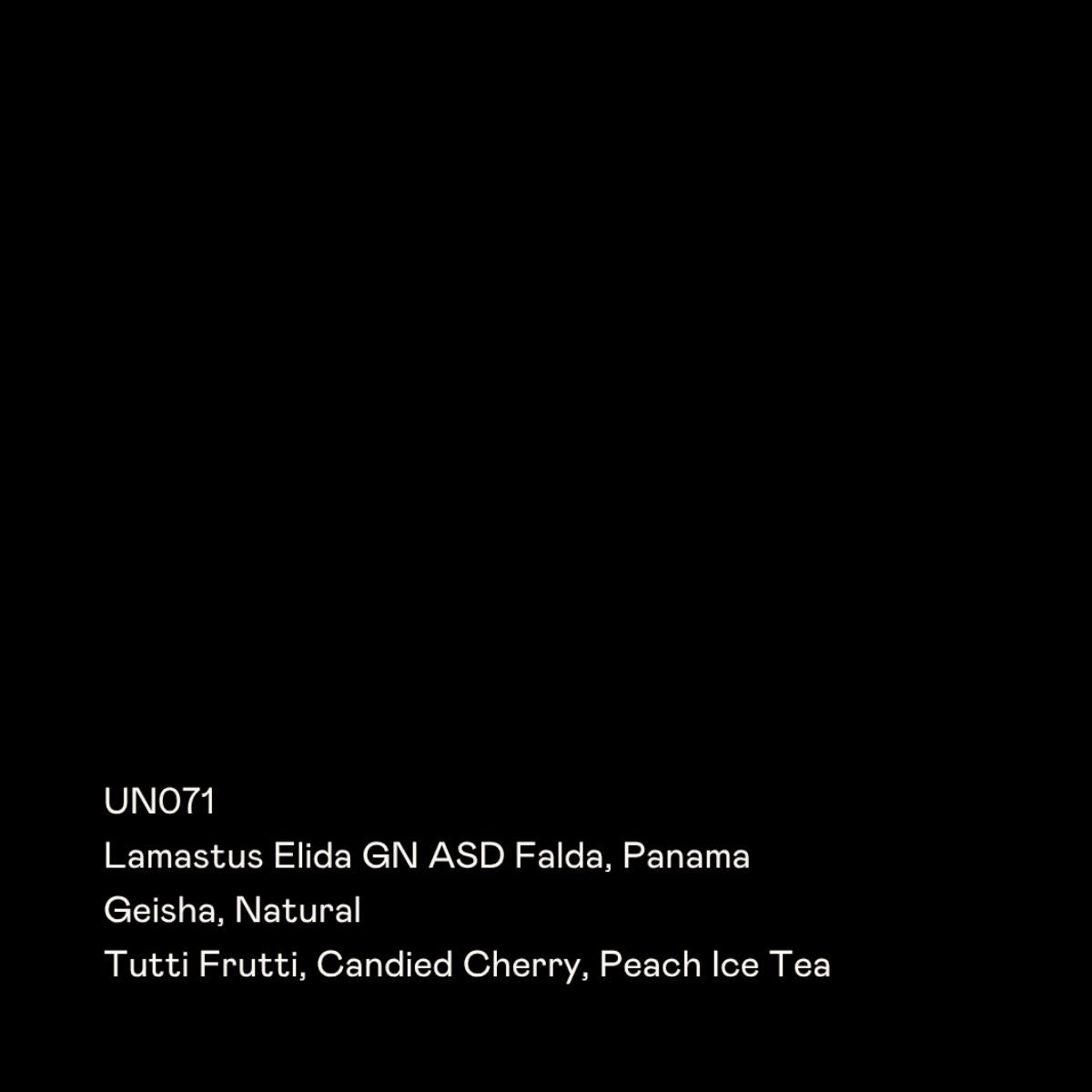 ★ Panama "Elida" ASD Natural Gesha - Special Guests…