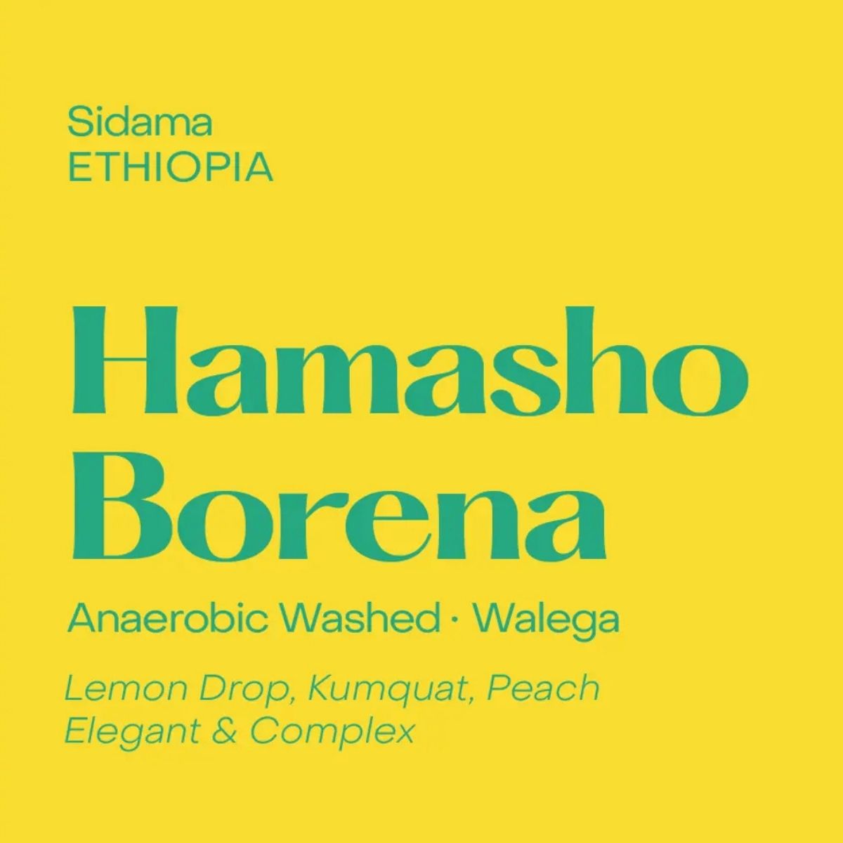 Ethiopia "Hamasho Borena" Anaerobic Washed Walega…