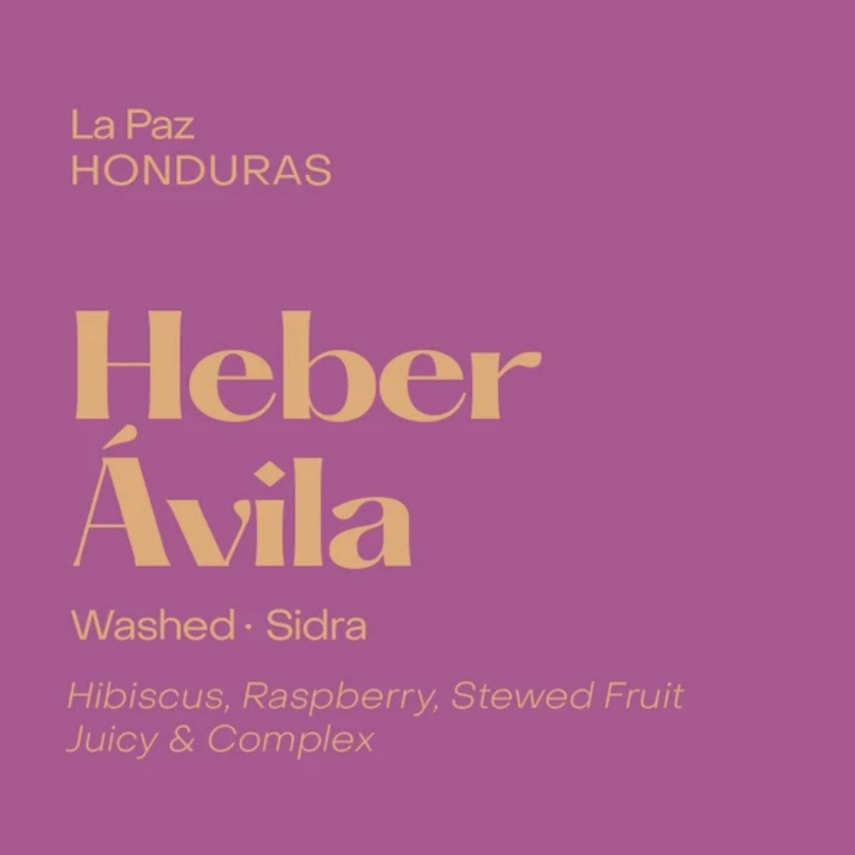 Honduras "Heber Ávila" Washed Sidra - Subtext Coffee by…