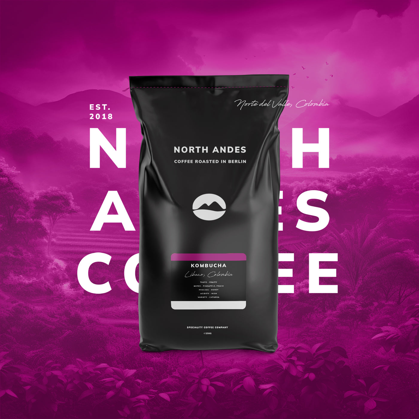 Geisha Coffee by Northandescoffee