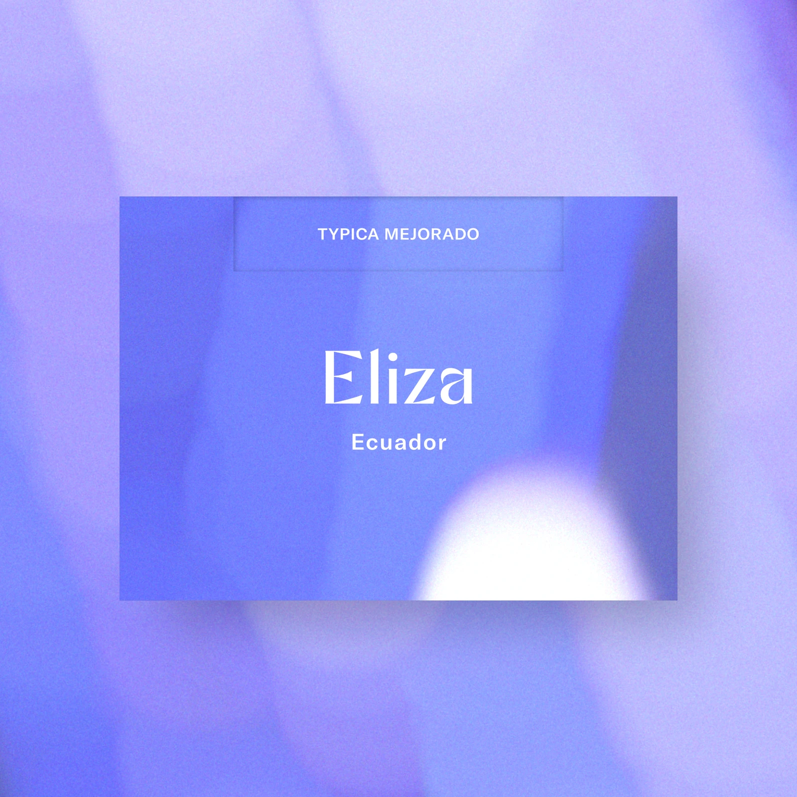 Eliza by Obadiah Coffee